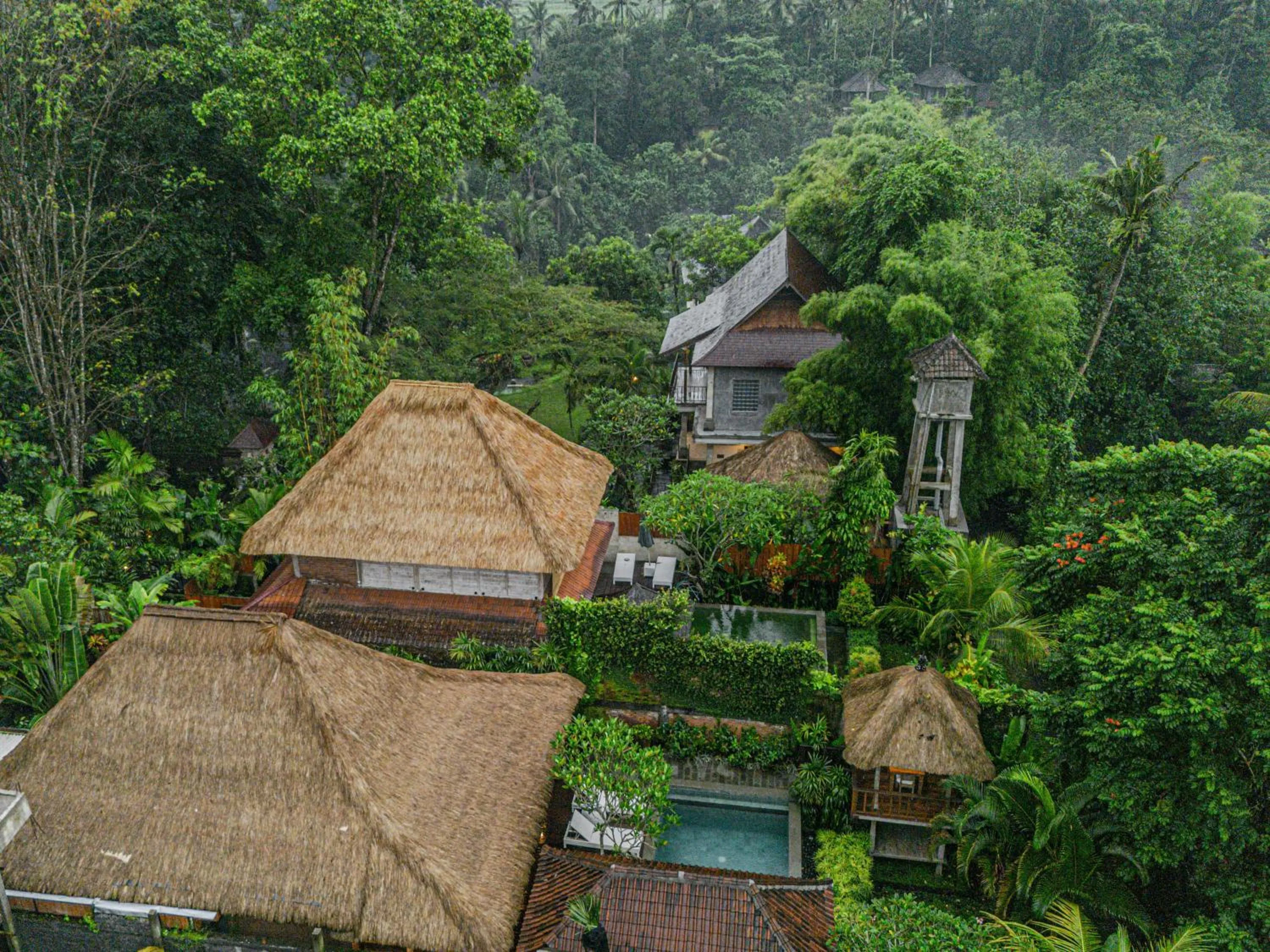 Natural landscape in Villa Bedauh Ubud Managed by Manara