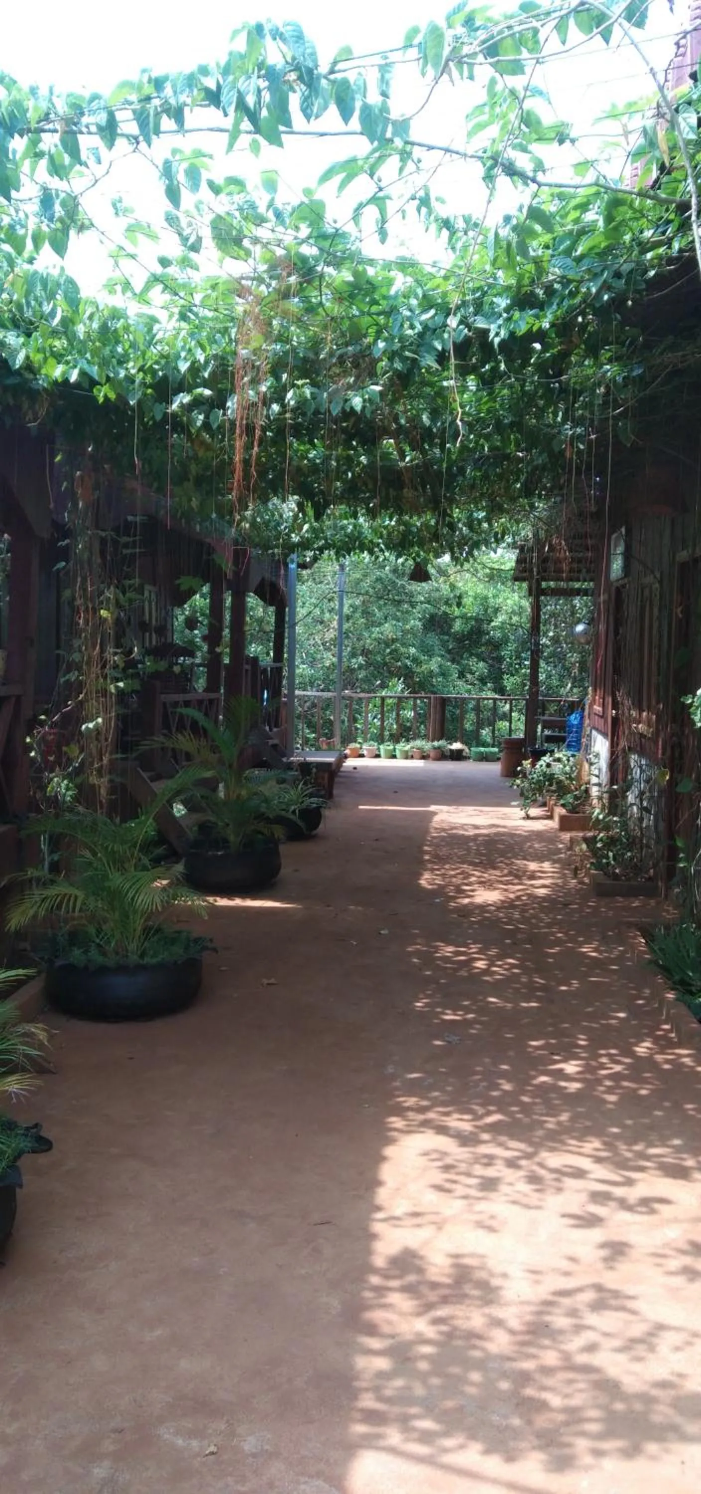 Garden in Bee Bee's Chalets home stay and trekking