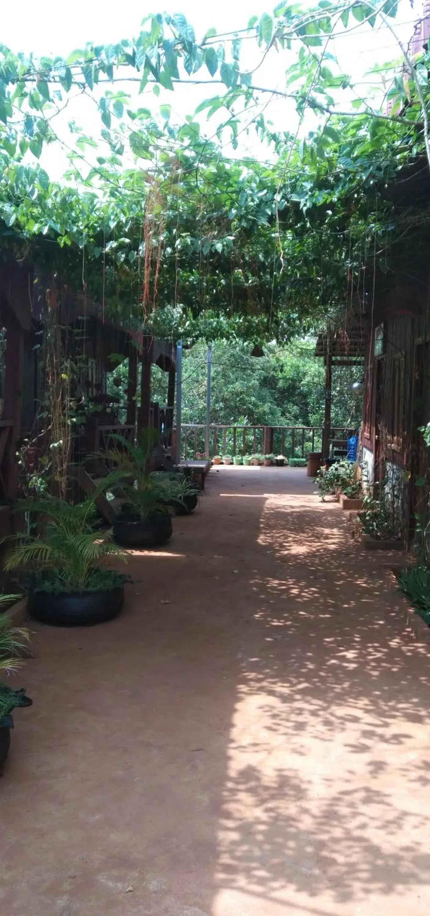 Twin Room - single occupancy in Bee Bee's Chalets home stay and trekking Twin Room - single occupancy in Bee Bee's Chalets home stay and trekking