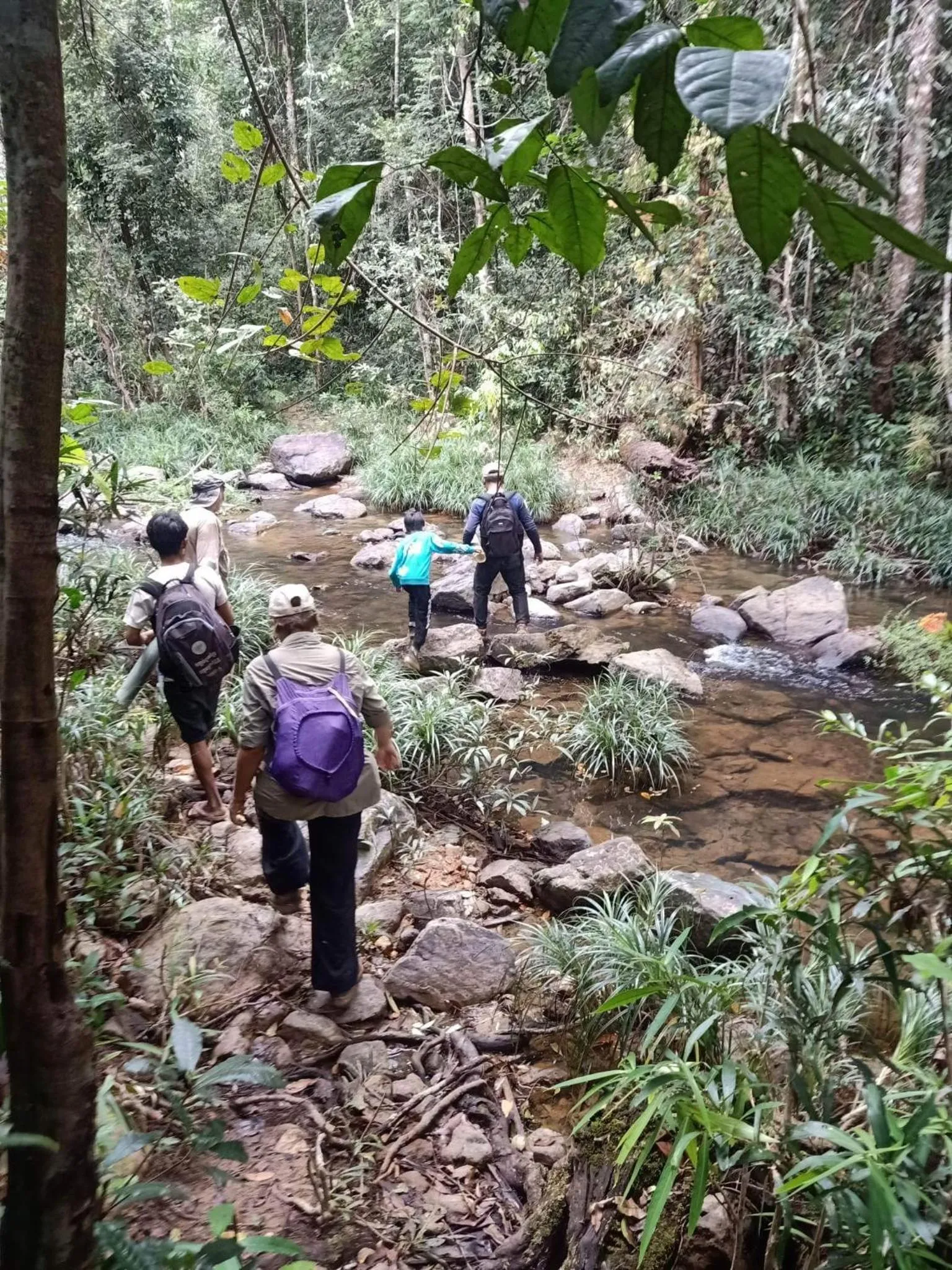 Hiking in Bee Bee's Chalets home stay and trekking