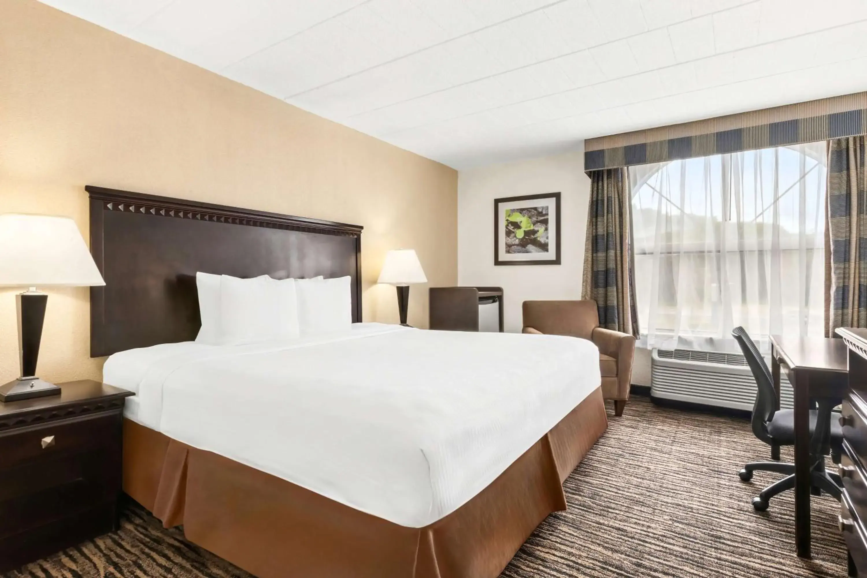 Bedroom, Bed in Best Western Hazlet Inn Bedroom, Bed in Best Western Hazlet Inn