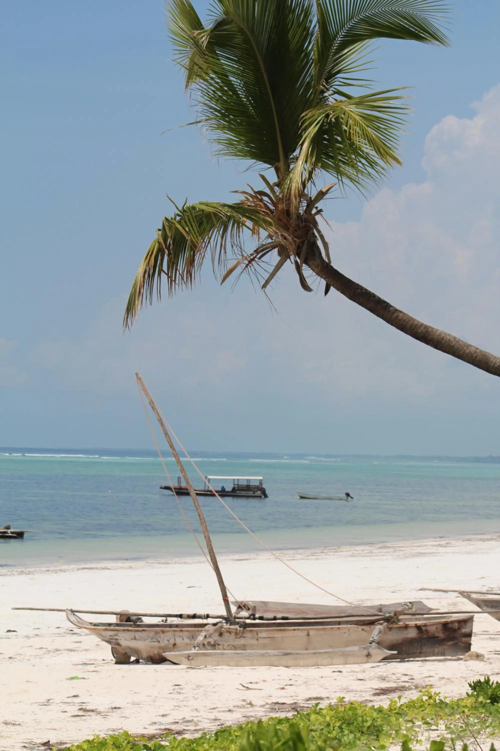 Beach in Isla Bonita Zanzibar Beach Resort
