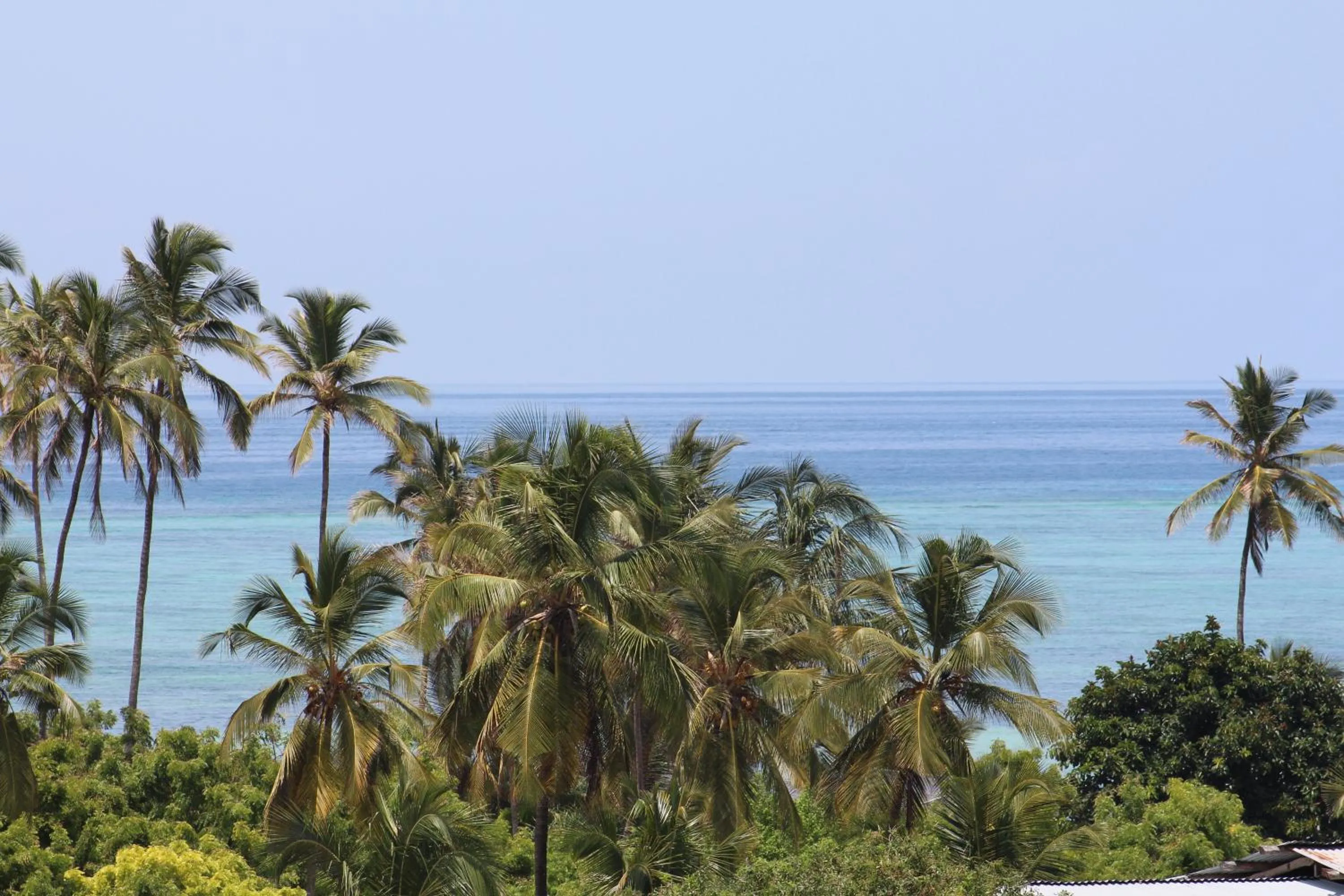 Beach in Isla Bonita Zanzibar Beach Resort
