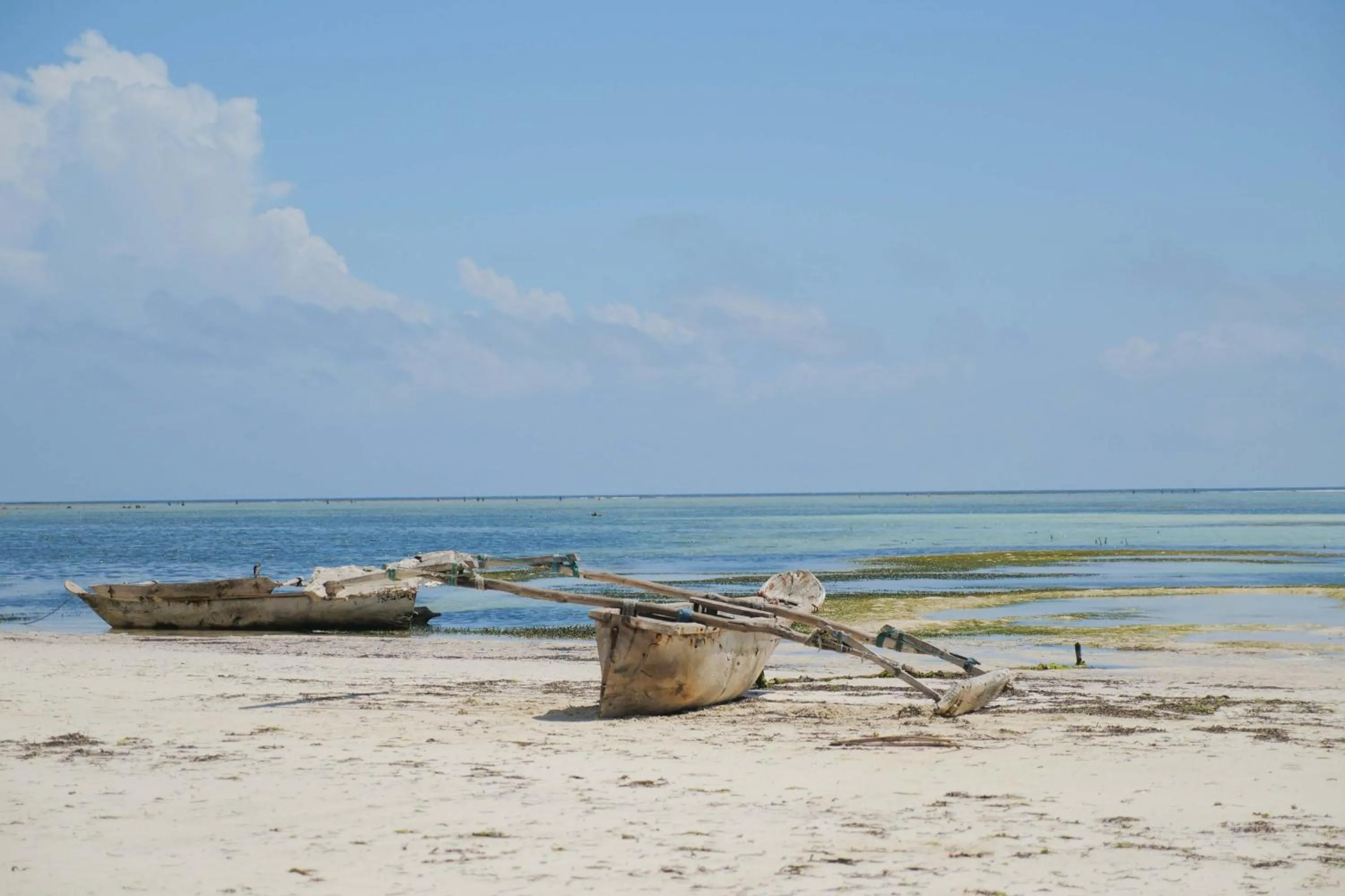 Natural landscape in Isla Bonita Zanzibar Beach Resort