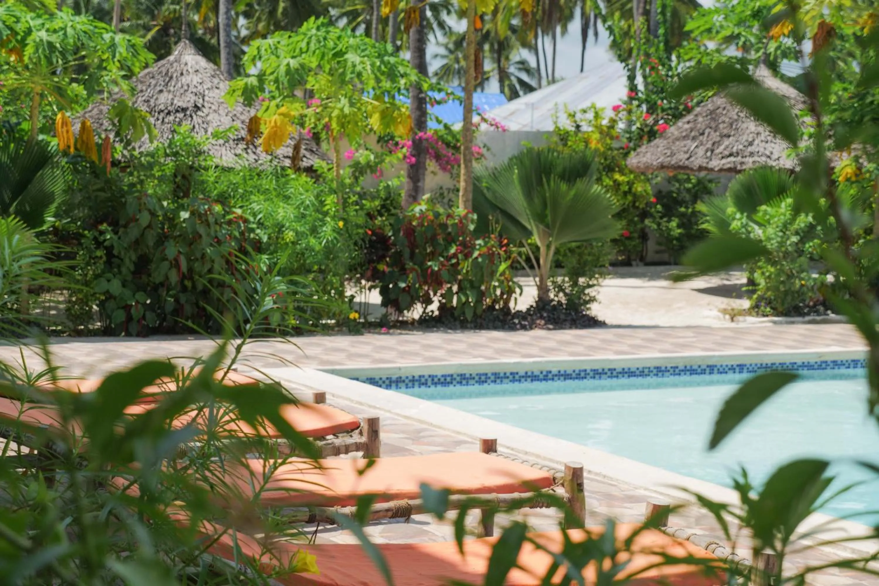Pool view in Isla Bonita Zanzibar Beach Resort