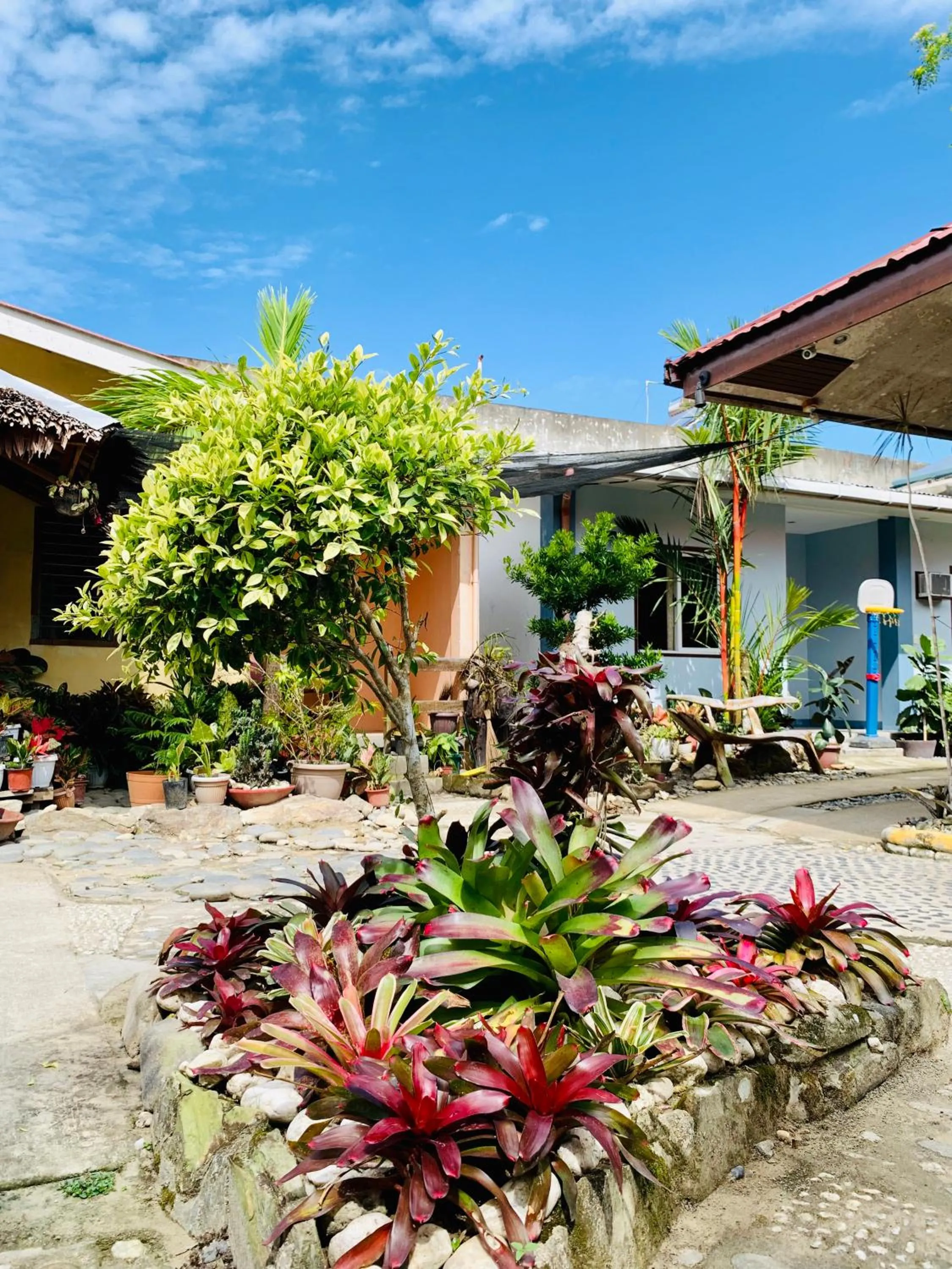 Pisces Tourist Inn - Port Barton