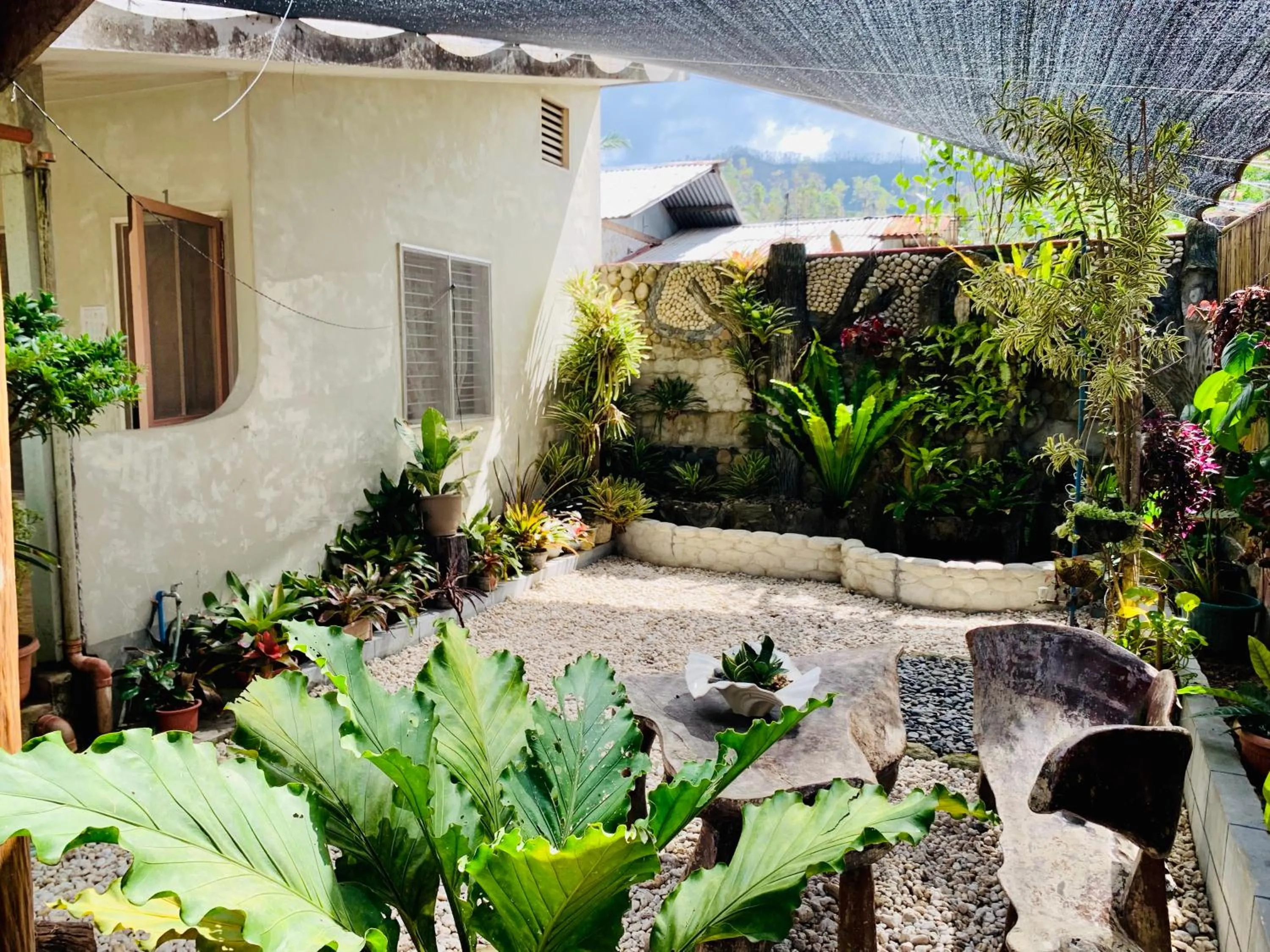 Garden in Pisces Tourist Inn - Port Barton