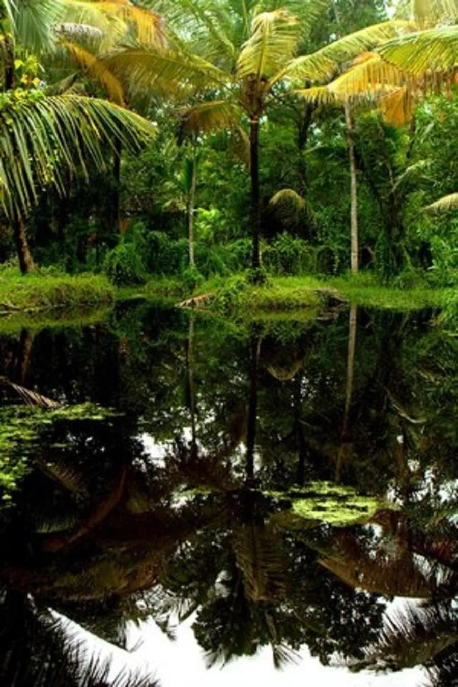 Natural landscape in Palathra Heritage