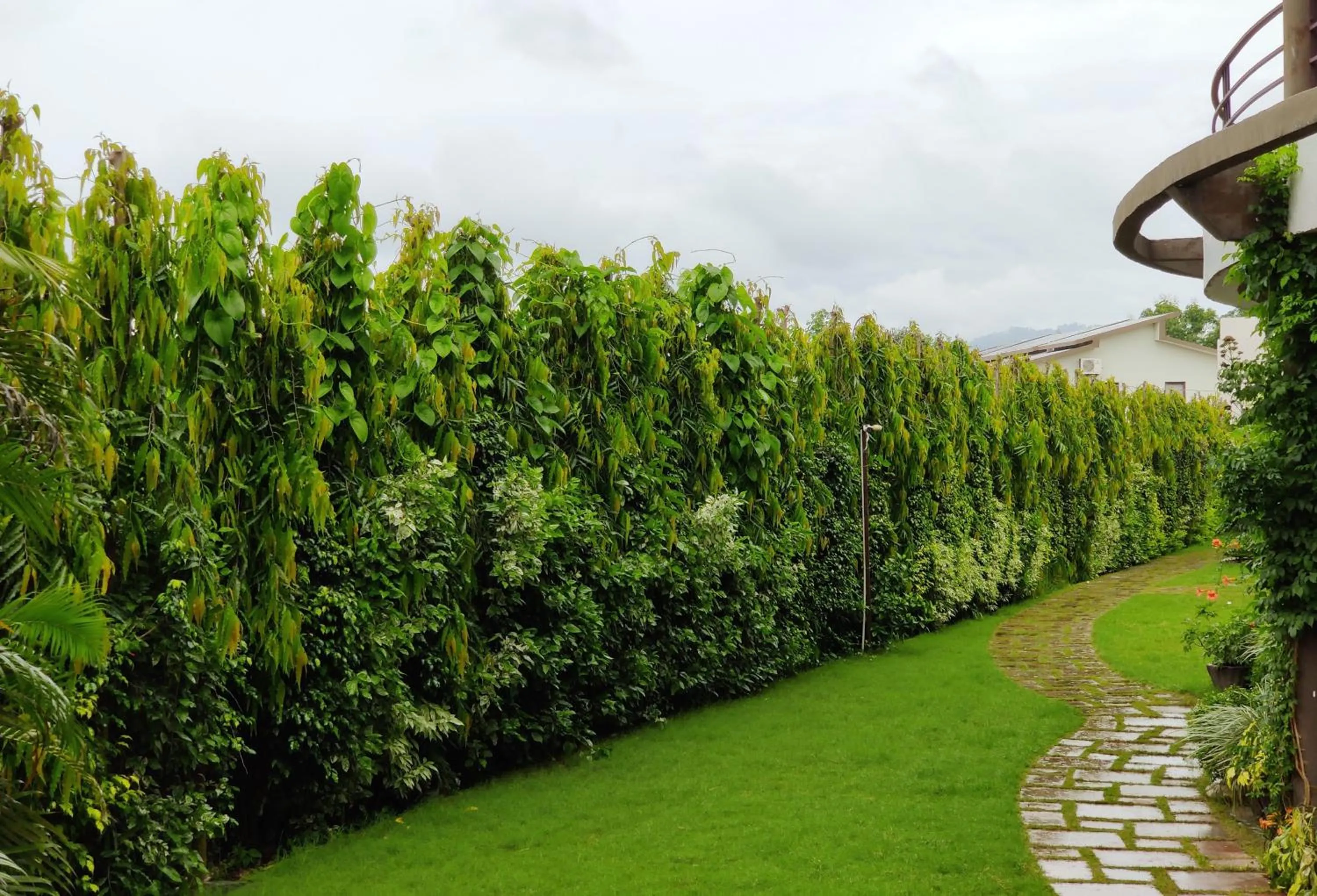 Garden in Corbett Panorama Resort