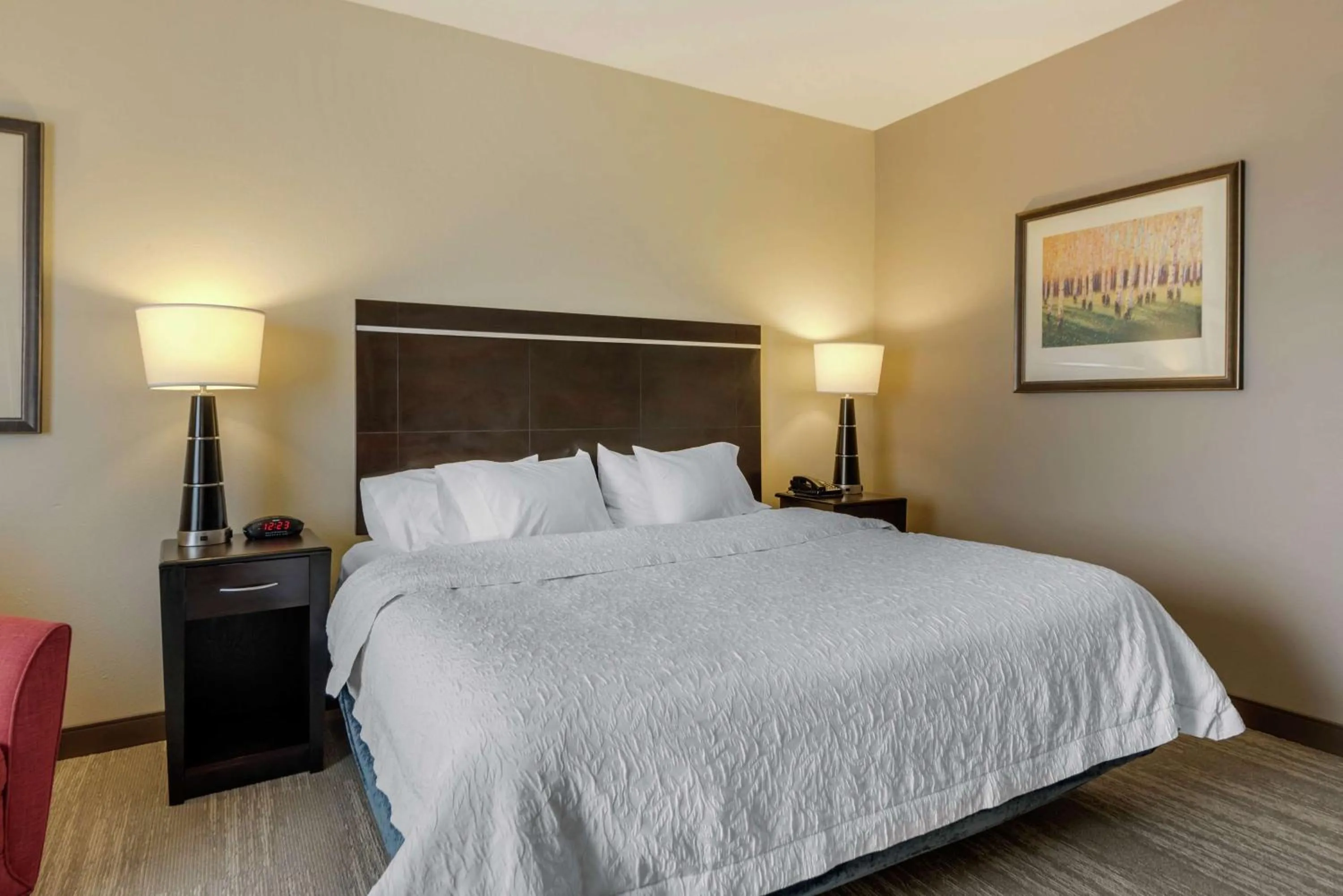 Bed in Hampton Inn Alamosa