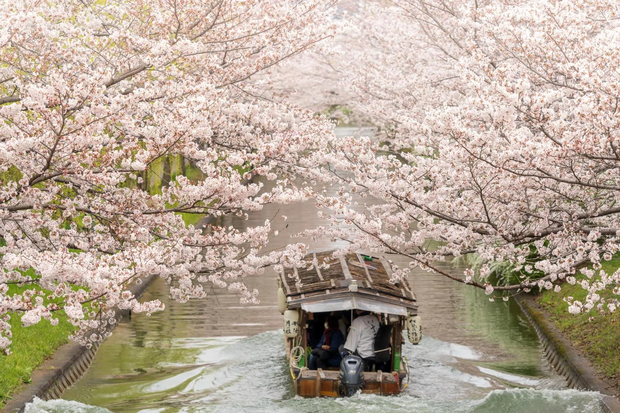 Nearby landmark in MIMARU Kyoto Nijo Castle