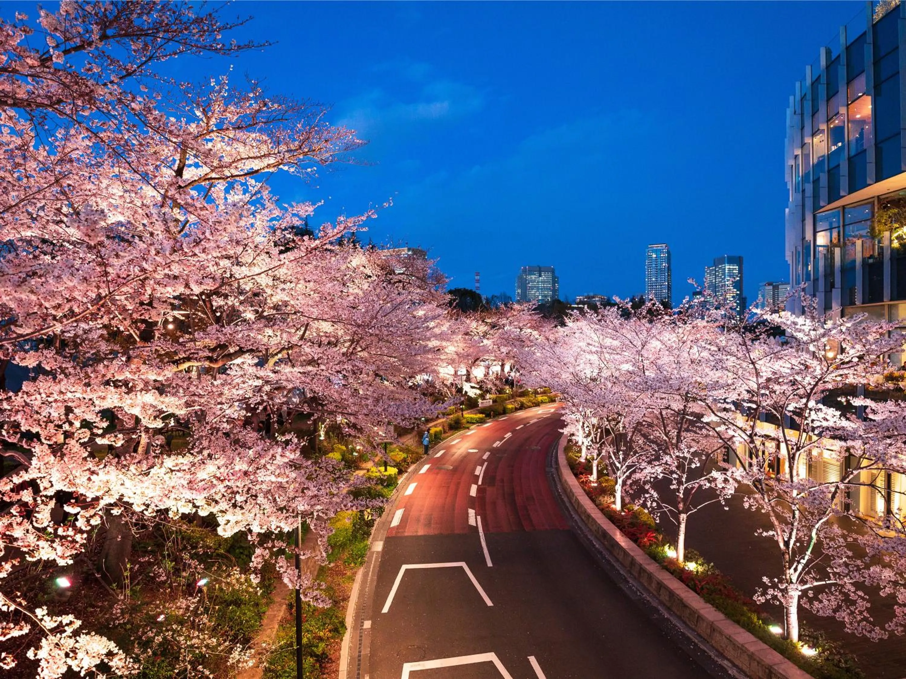 Nearby landmark in MIMARU Tokyo Akasaka