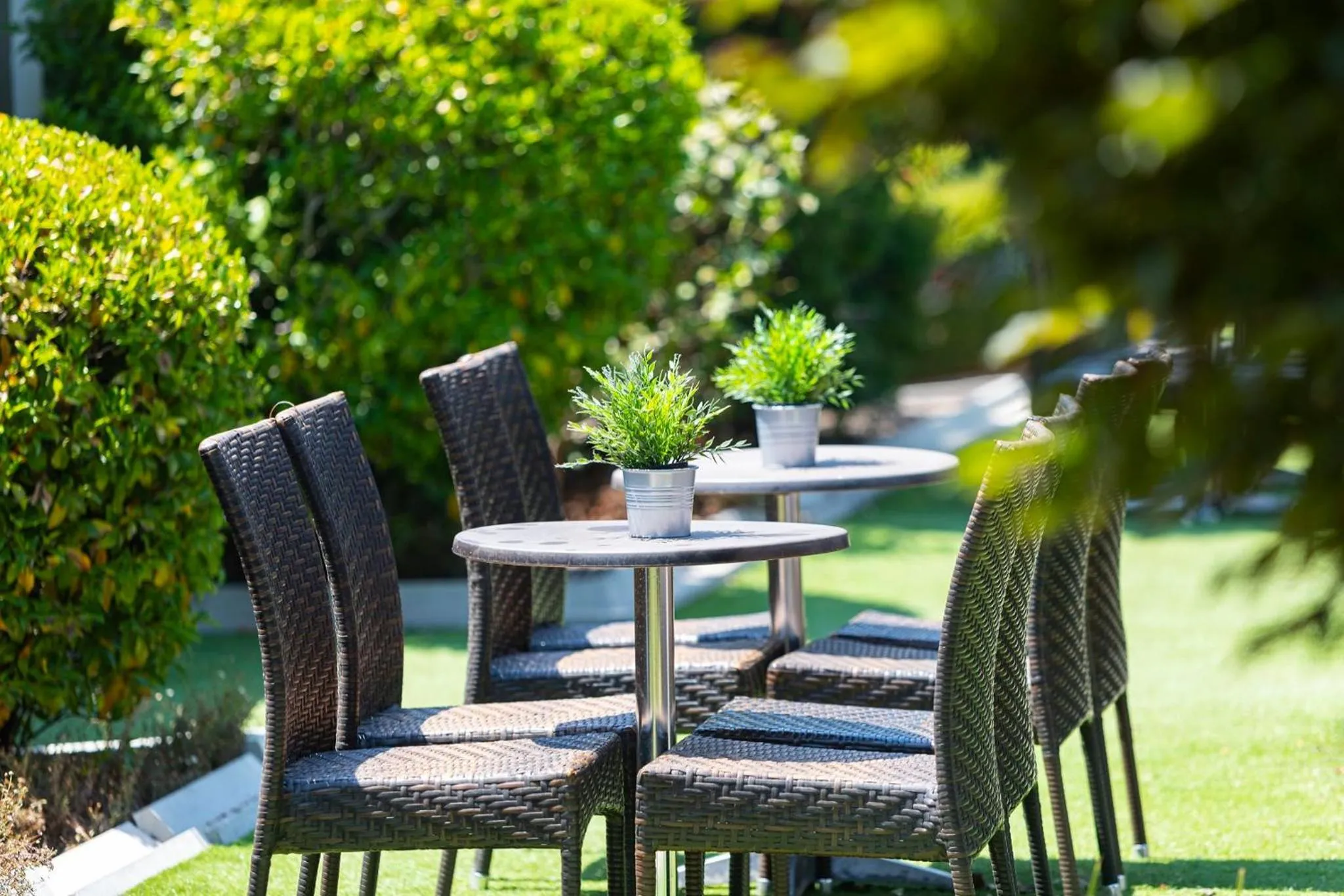 Garden in ibis Styles Canberra