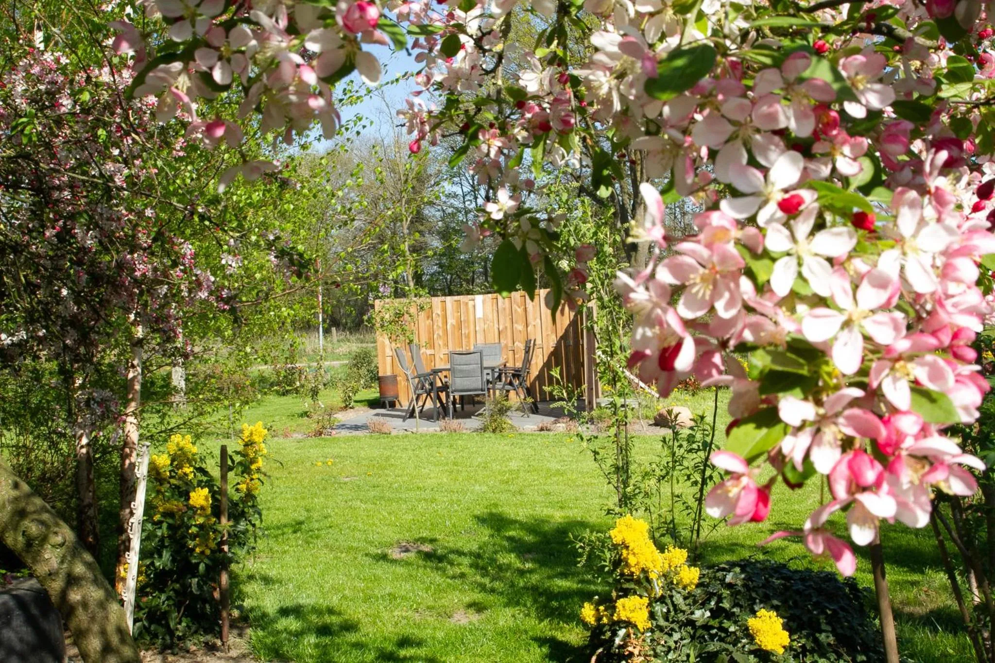 Garden in B&B Morskershoeve