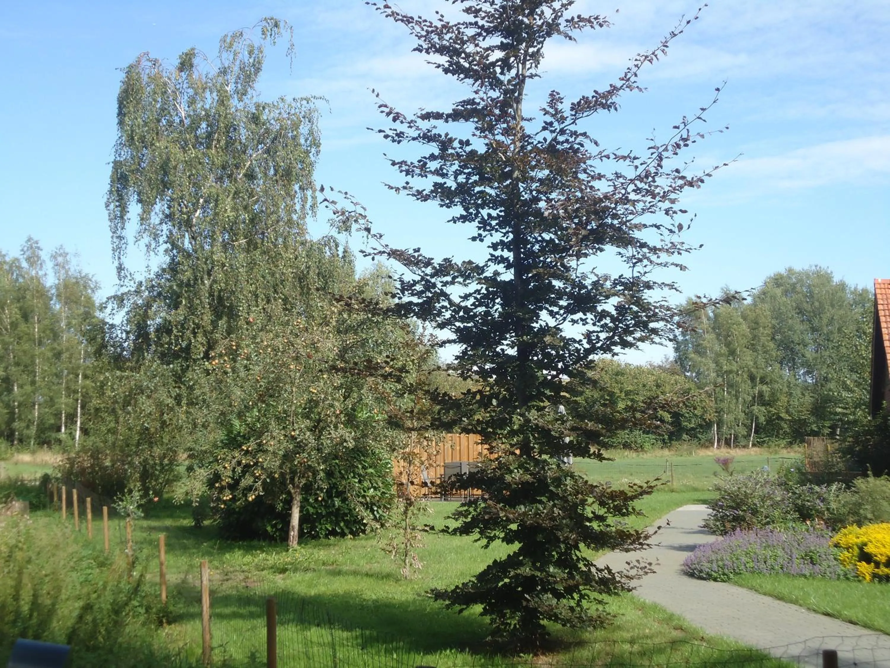 B&B Morskershoeve