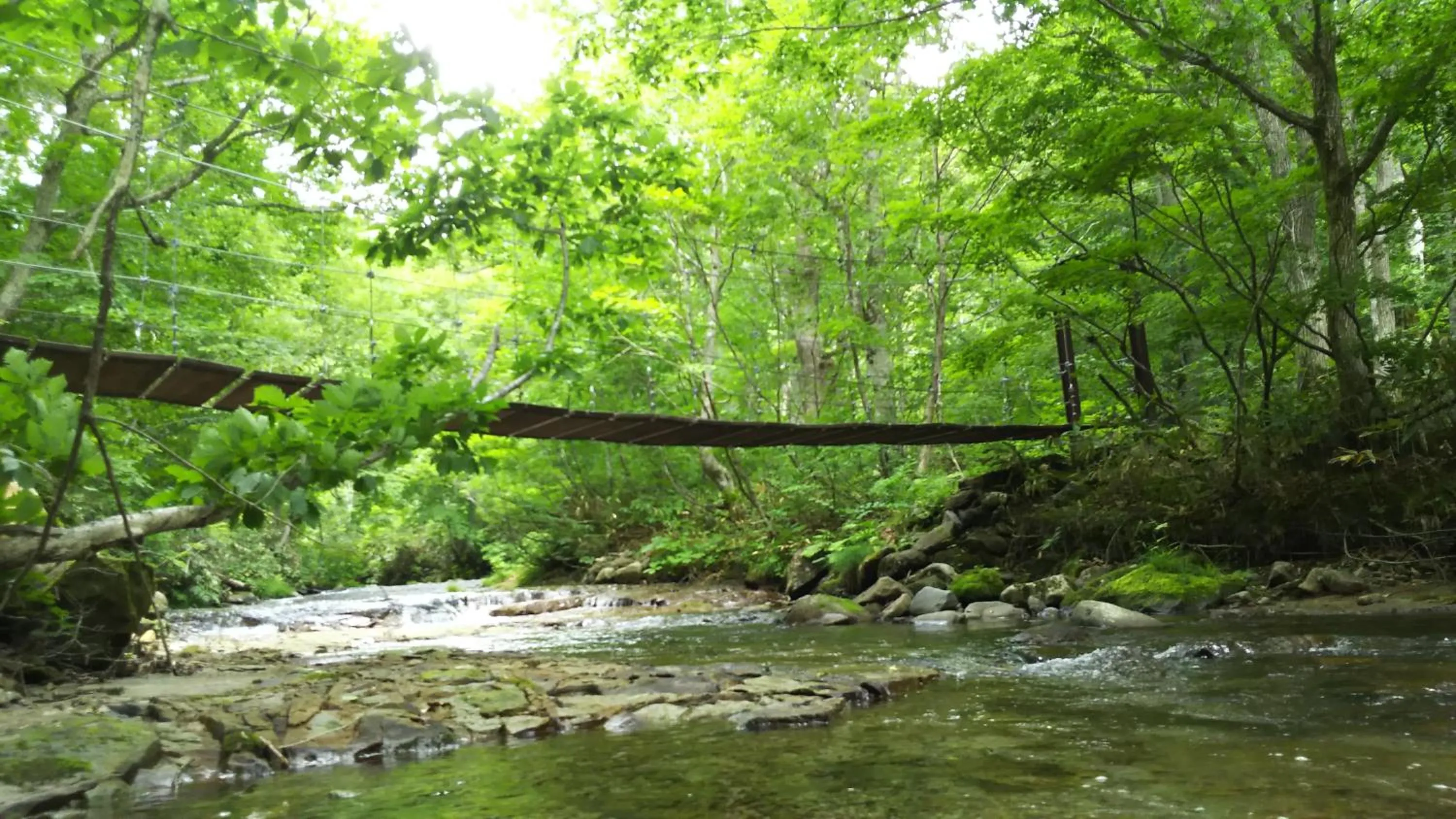 Day in Shiga Park Hotel