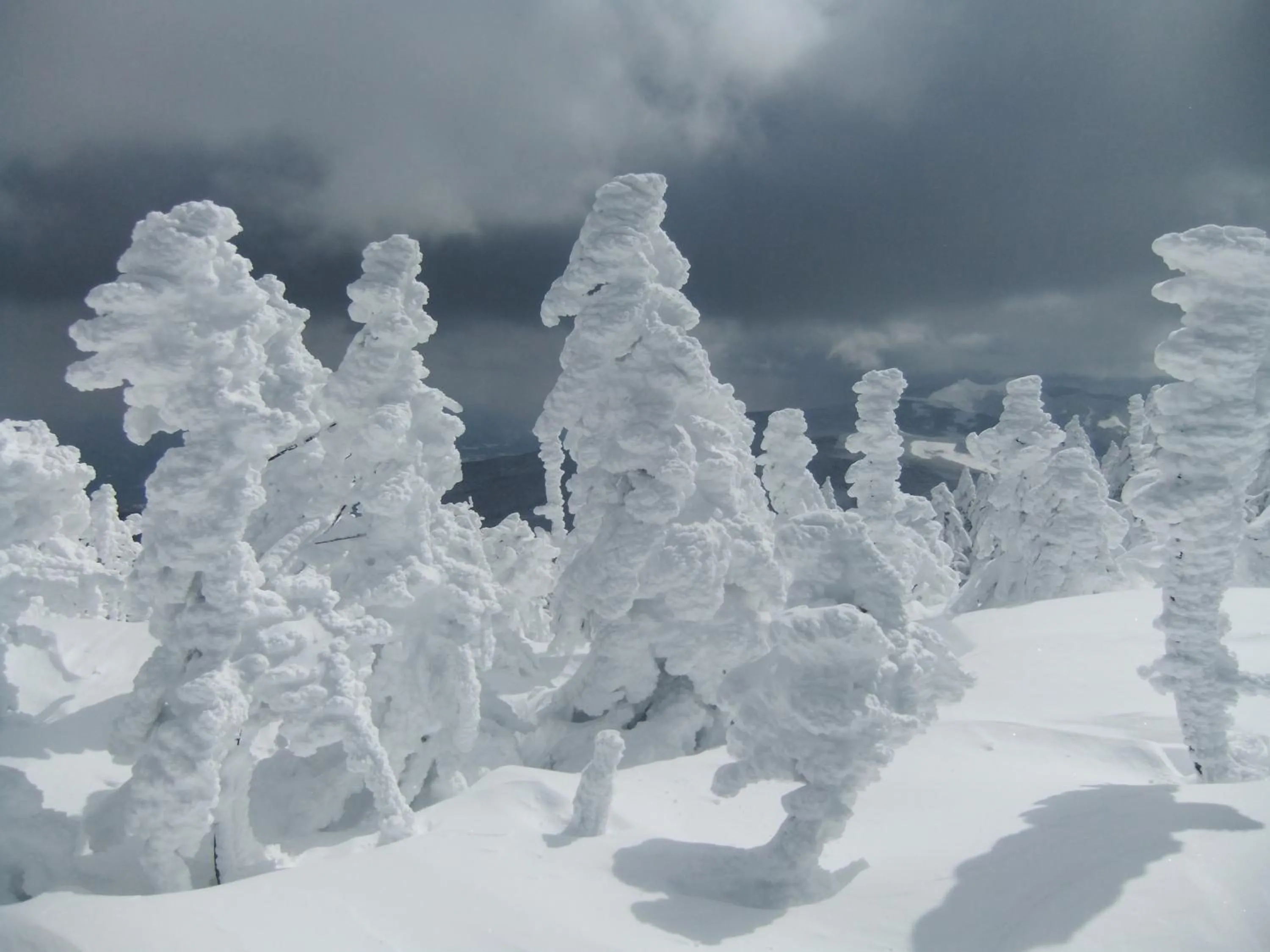 Day in Shiga Park Hotel