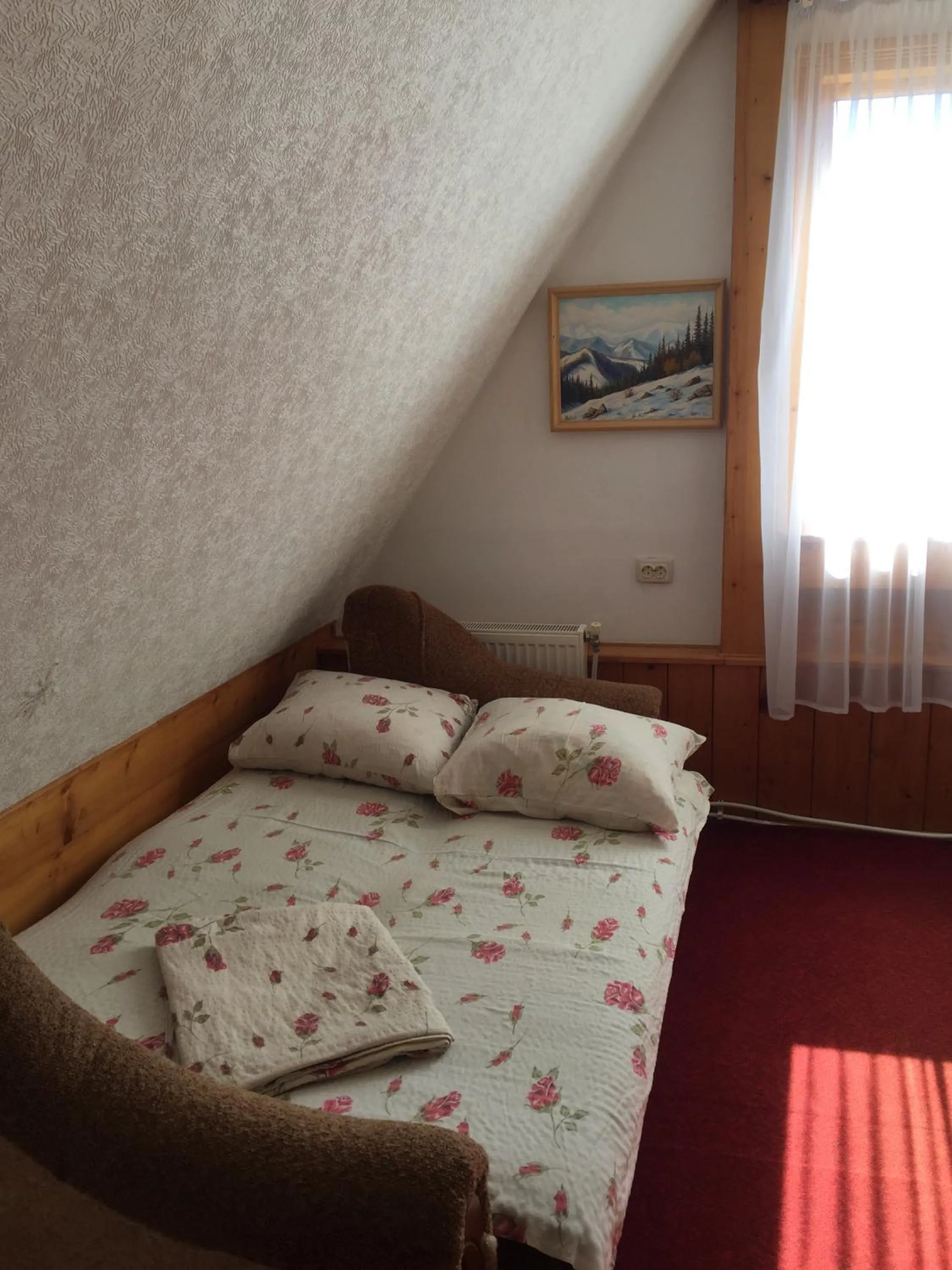 Bed in Sadyba Girske Povitria