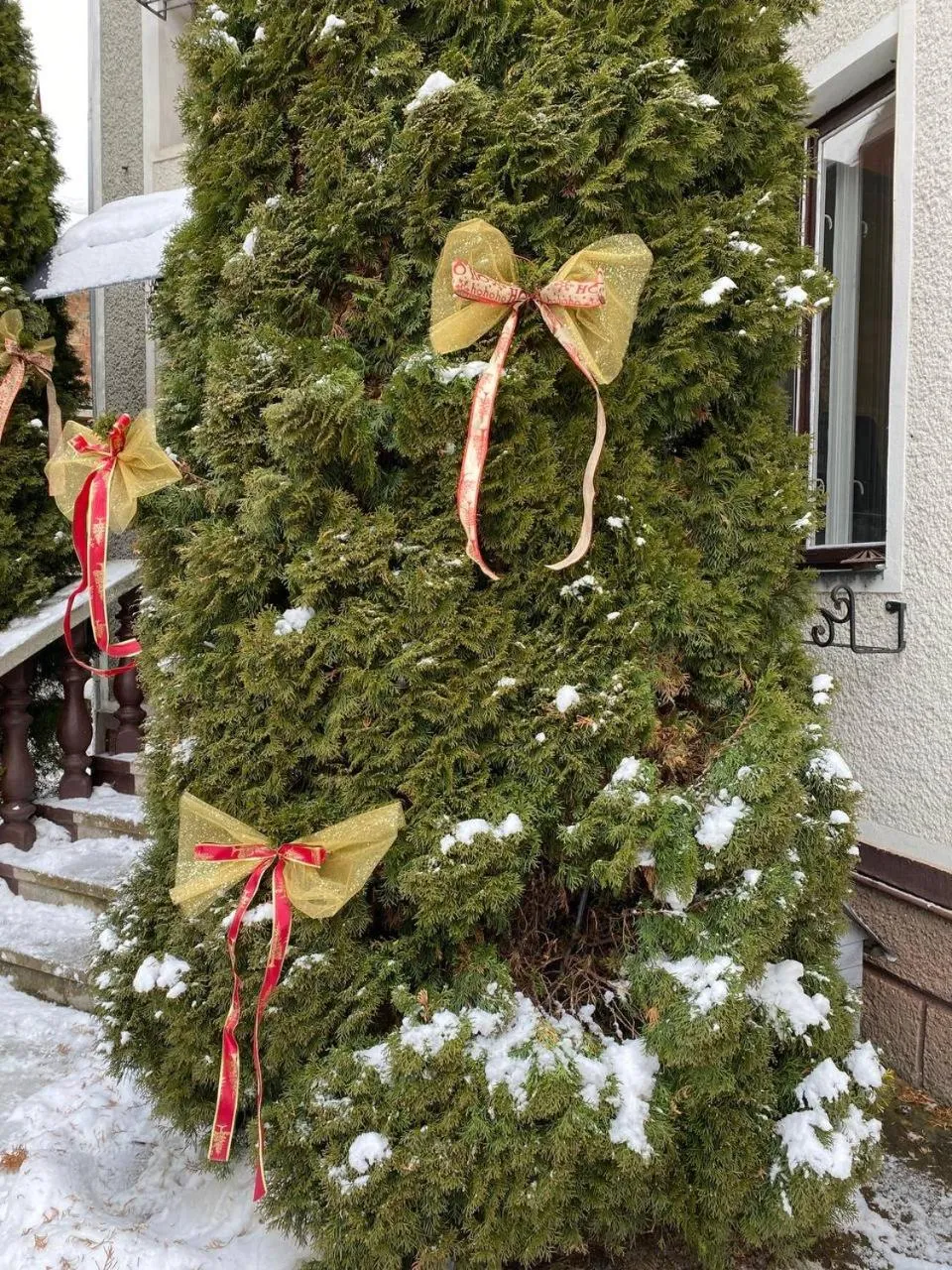 Sadyba Girske Povitria