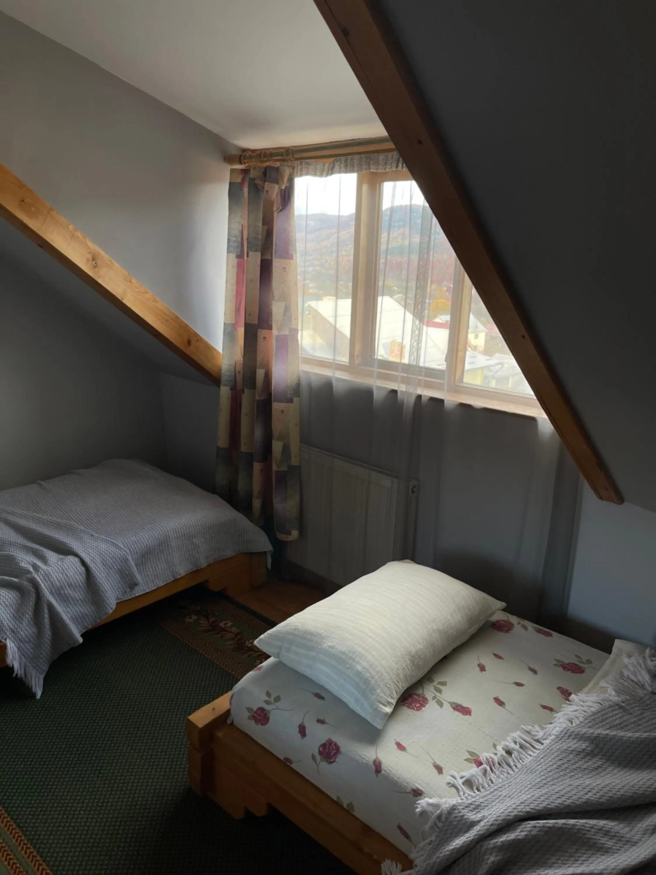 Bed in Sadyba Girske Povitria