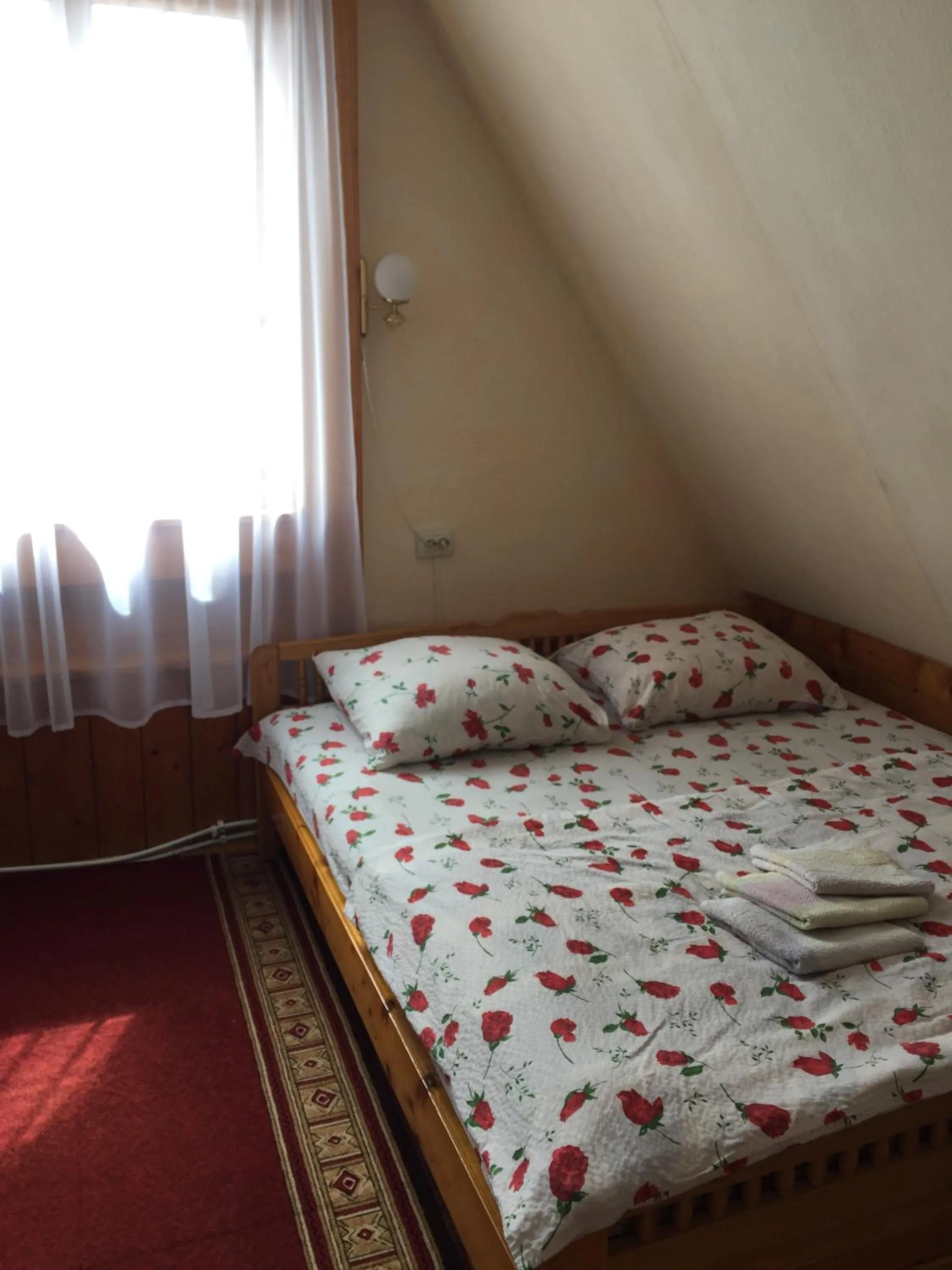 Bed in Sadyba Girske Povitria