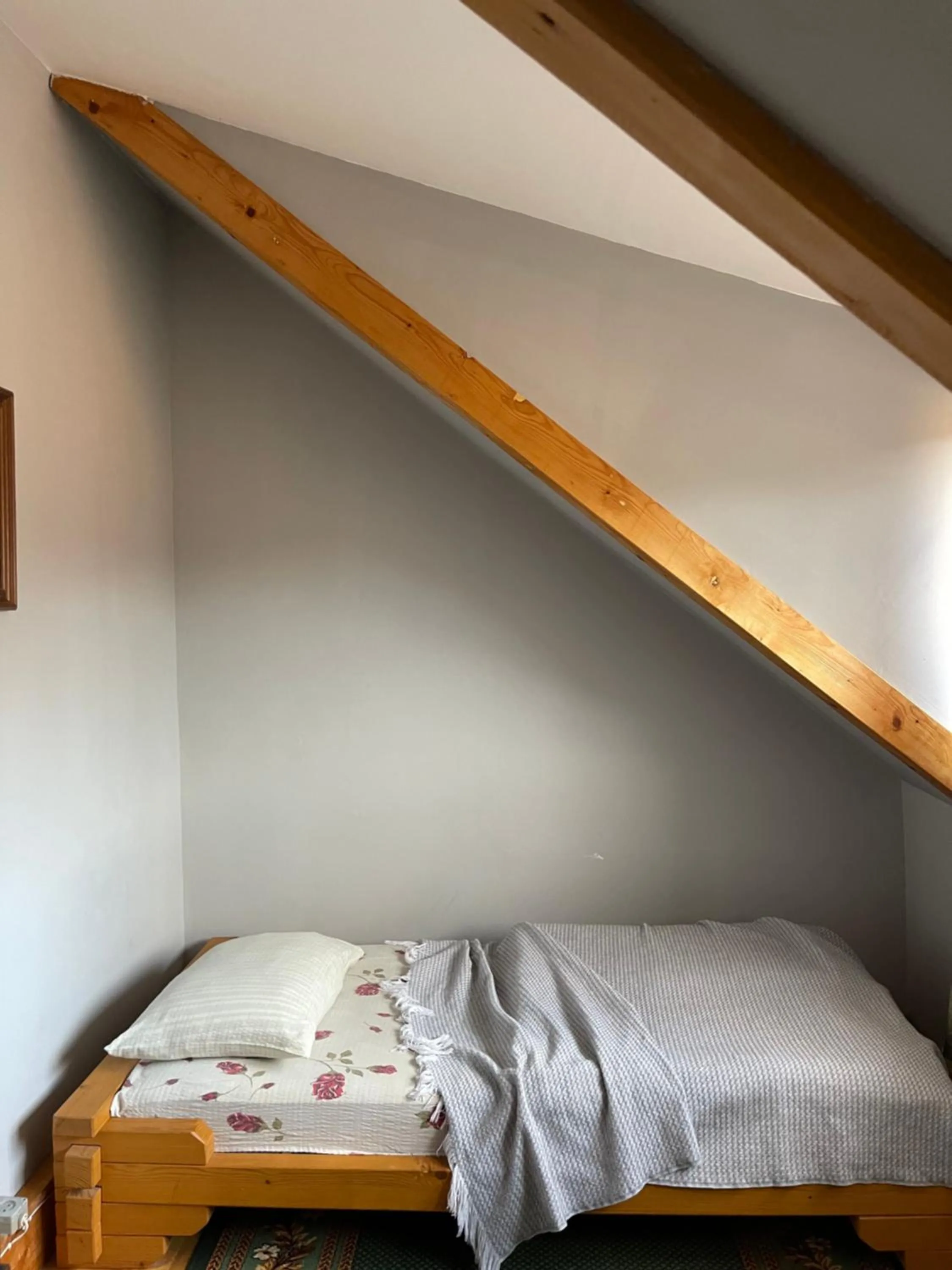 Bed in Sadyba Girske Povitria