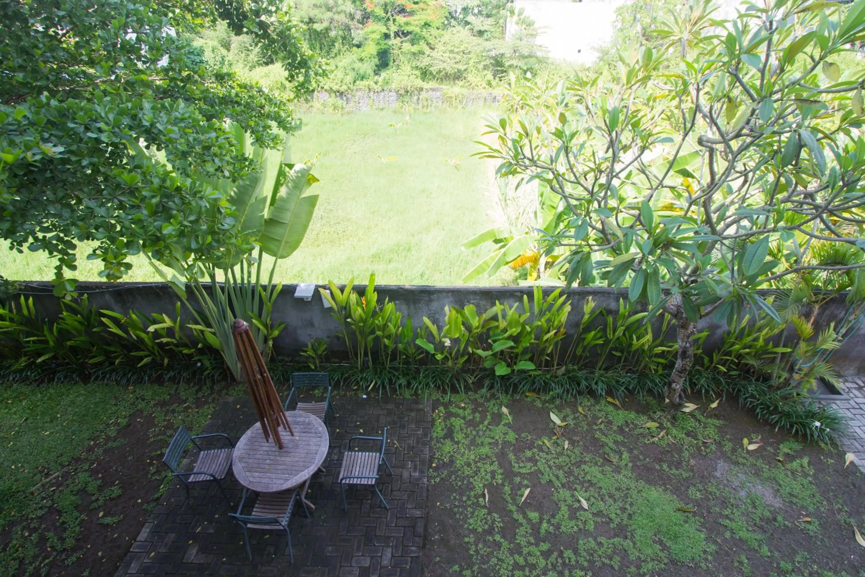 Garden view in Soraya Apartment Seminyak