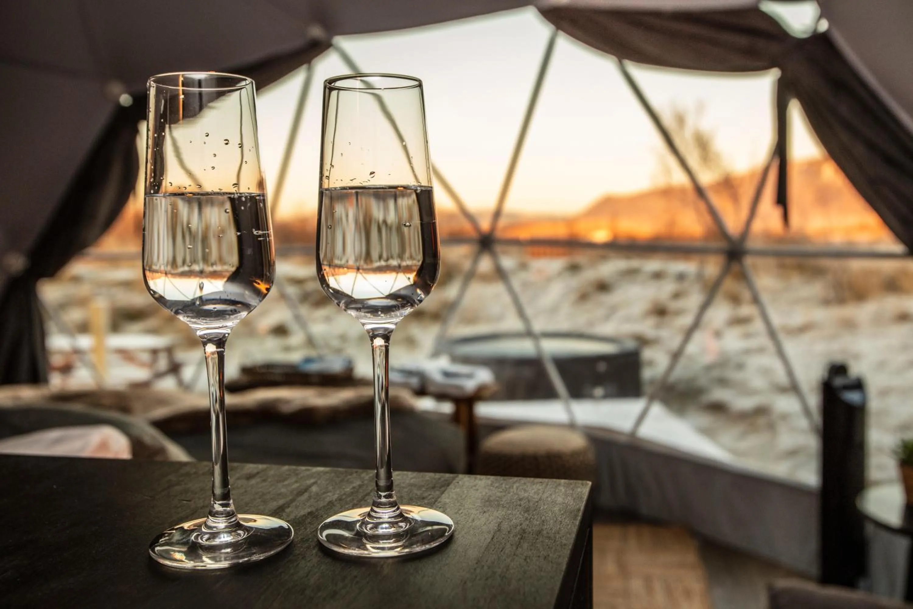 Drinks in Reykjavik Domes