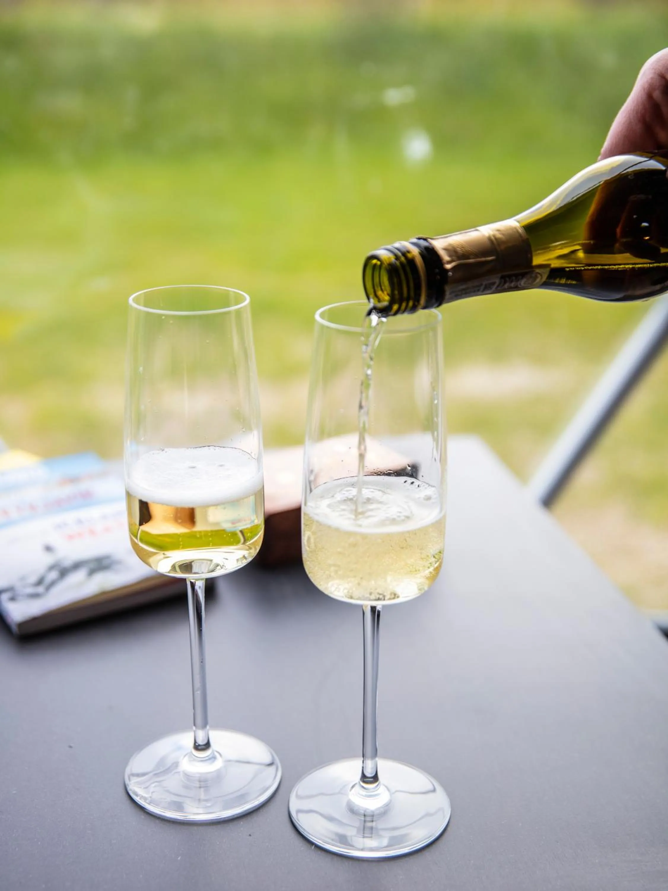 Drinks in Reykjavik Domes