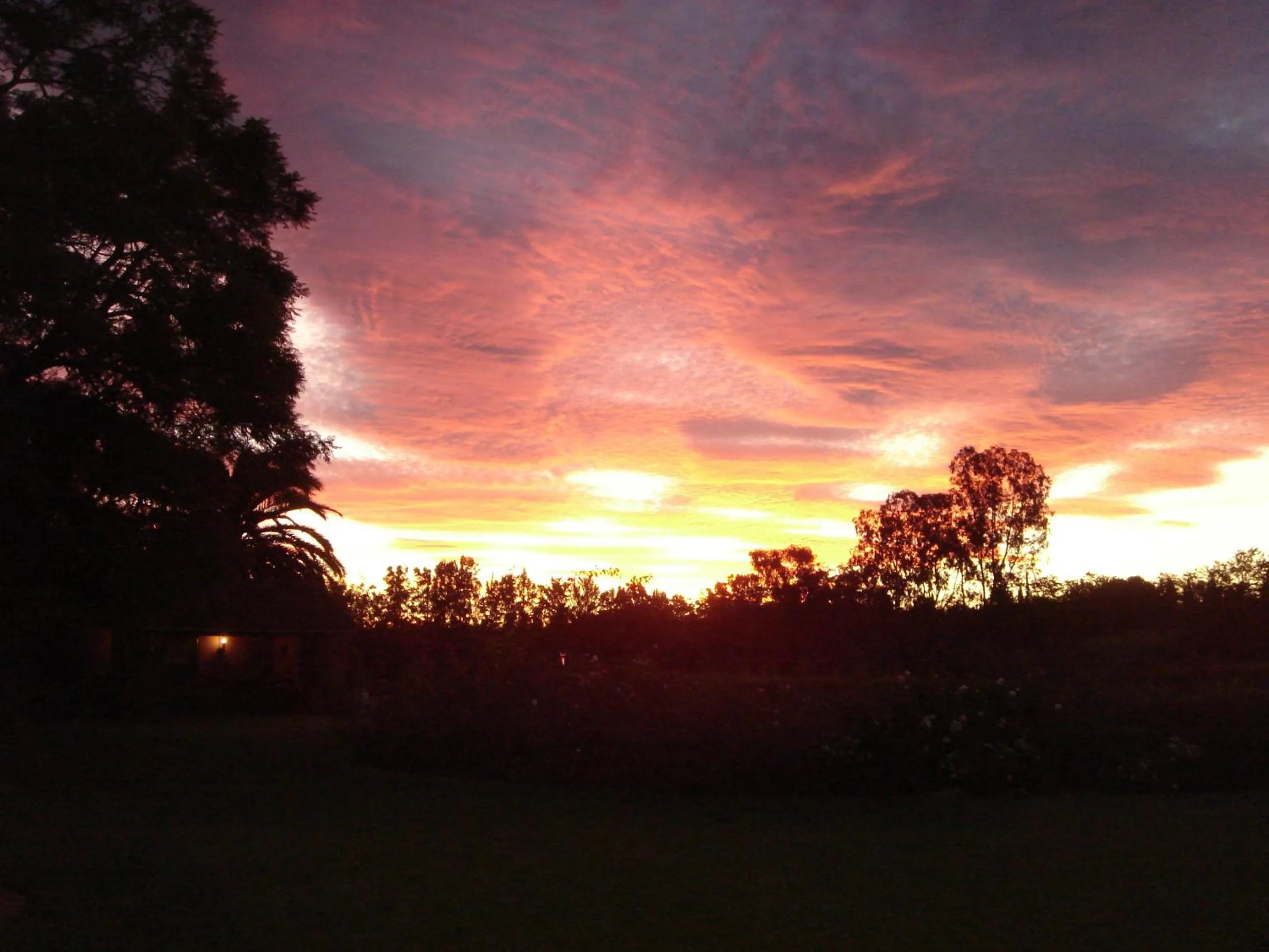Garden view in Gerald's Gift Guest House