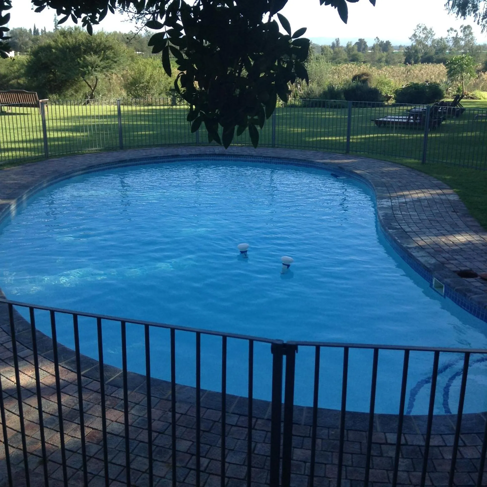 Swimming pool in Gerald's Gift Guest House