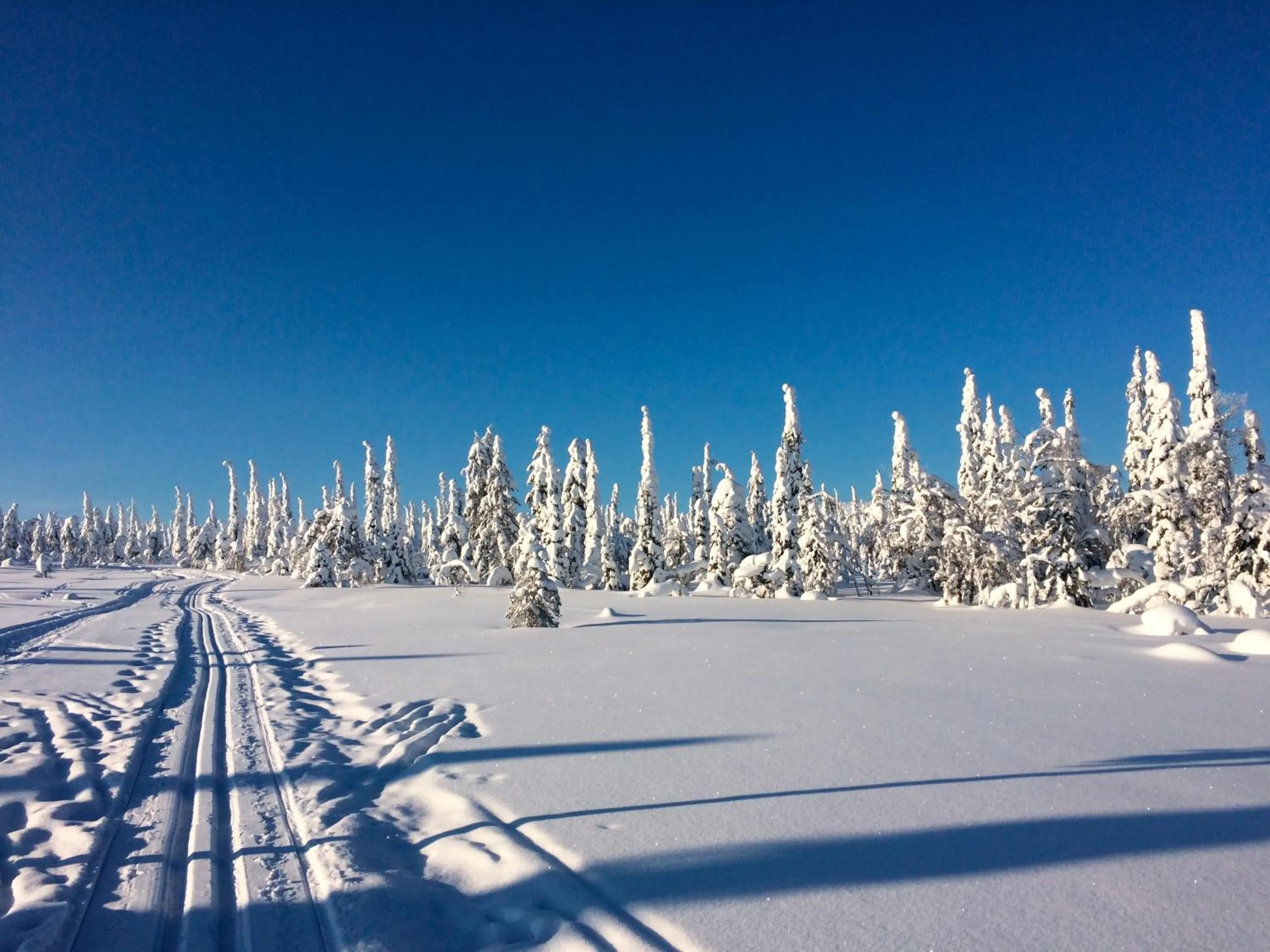 Natural landscape in Holiday Club Kuusamon Tropiikki