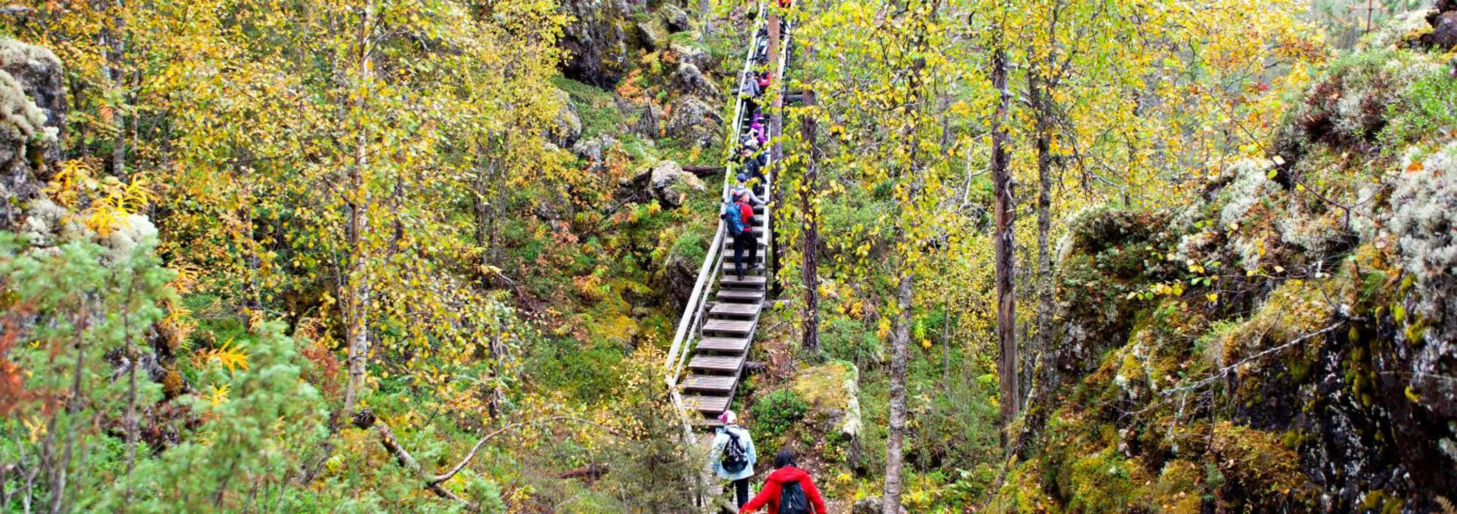Natural landscape in Holiday Club Kuusamon Tropiikki