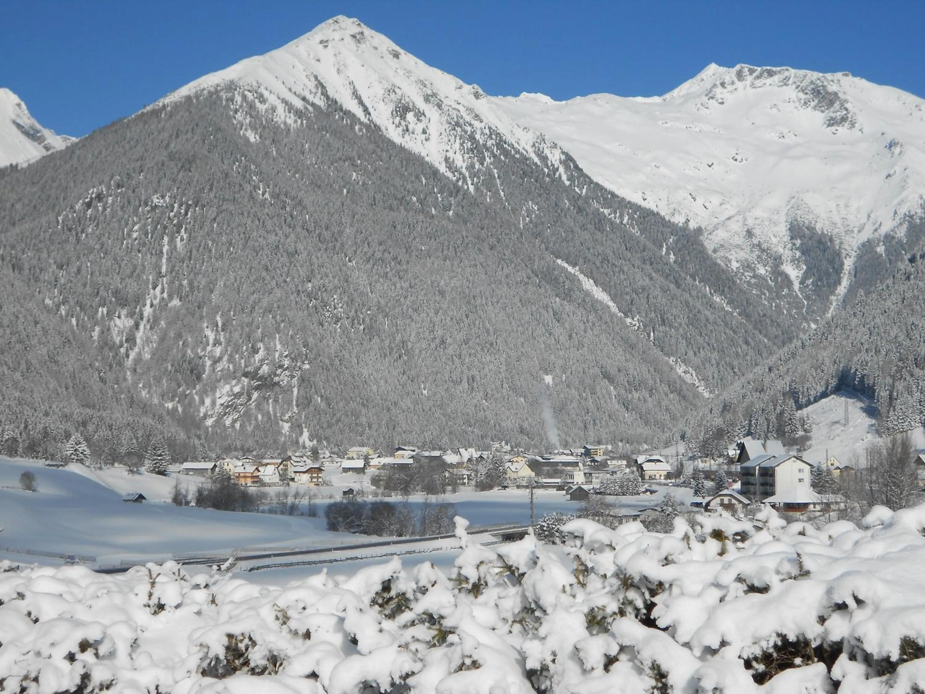 Natural landscape in Hotel Pension Oswald