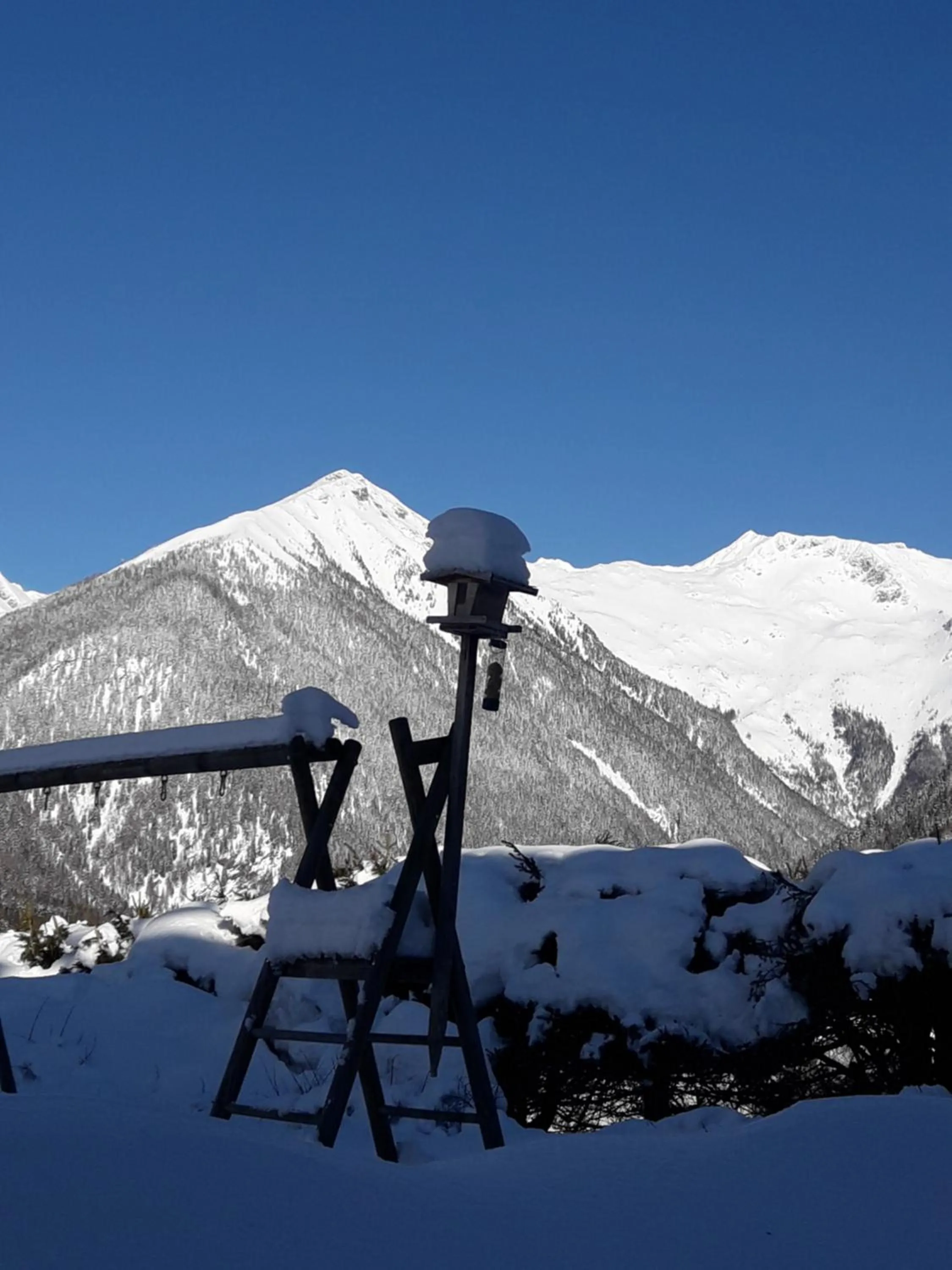 Breakfast in Hotel Pension Oswald