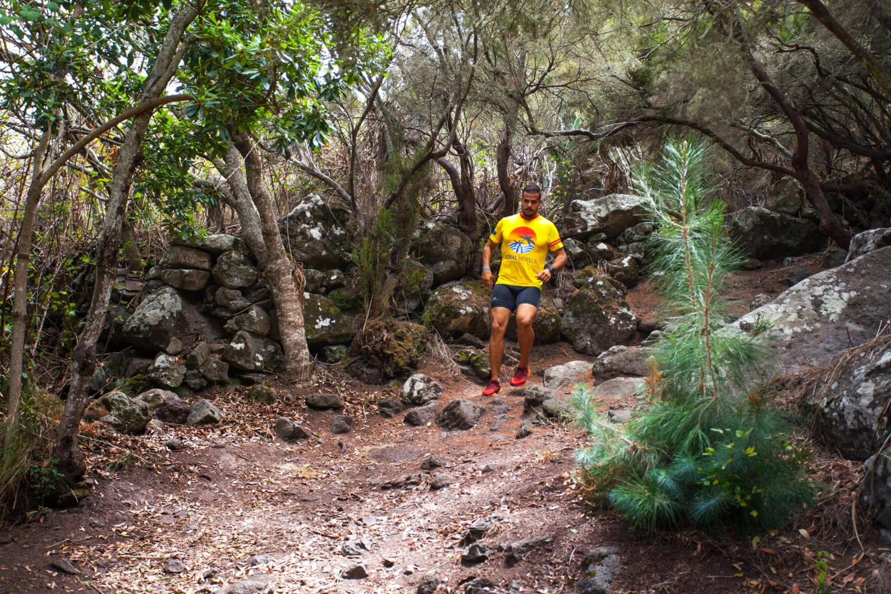 Activities in Coral Los Silos - Your Natural Accommodation Choice