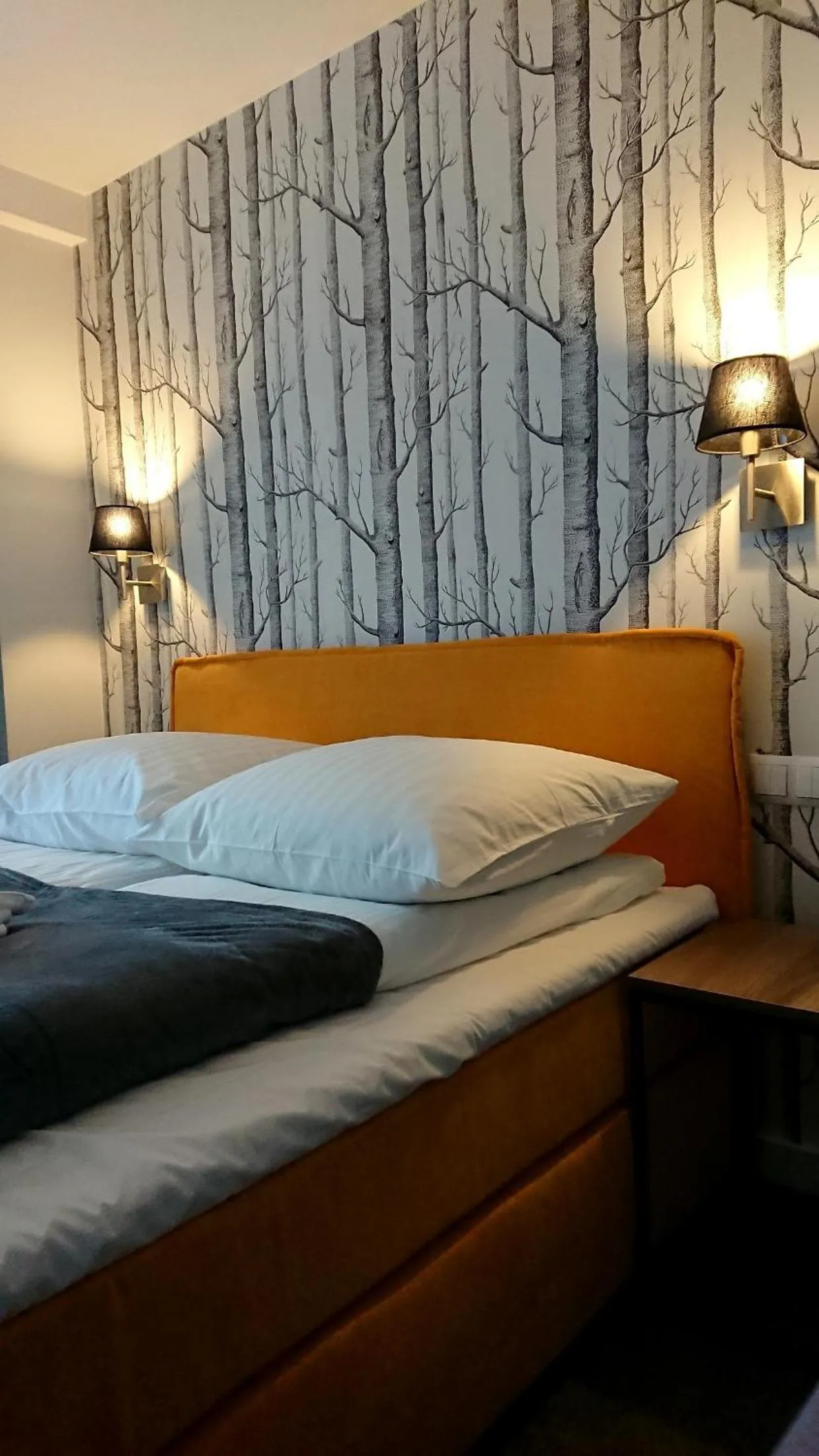 Superior Double Room in Willa Akacja Bed & Breakfast - Gdynia Orłowo