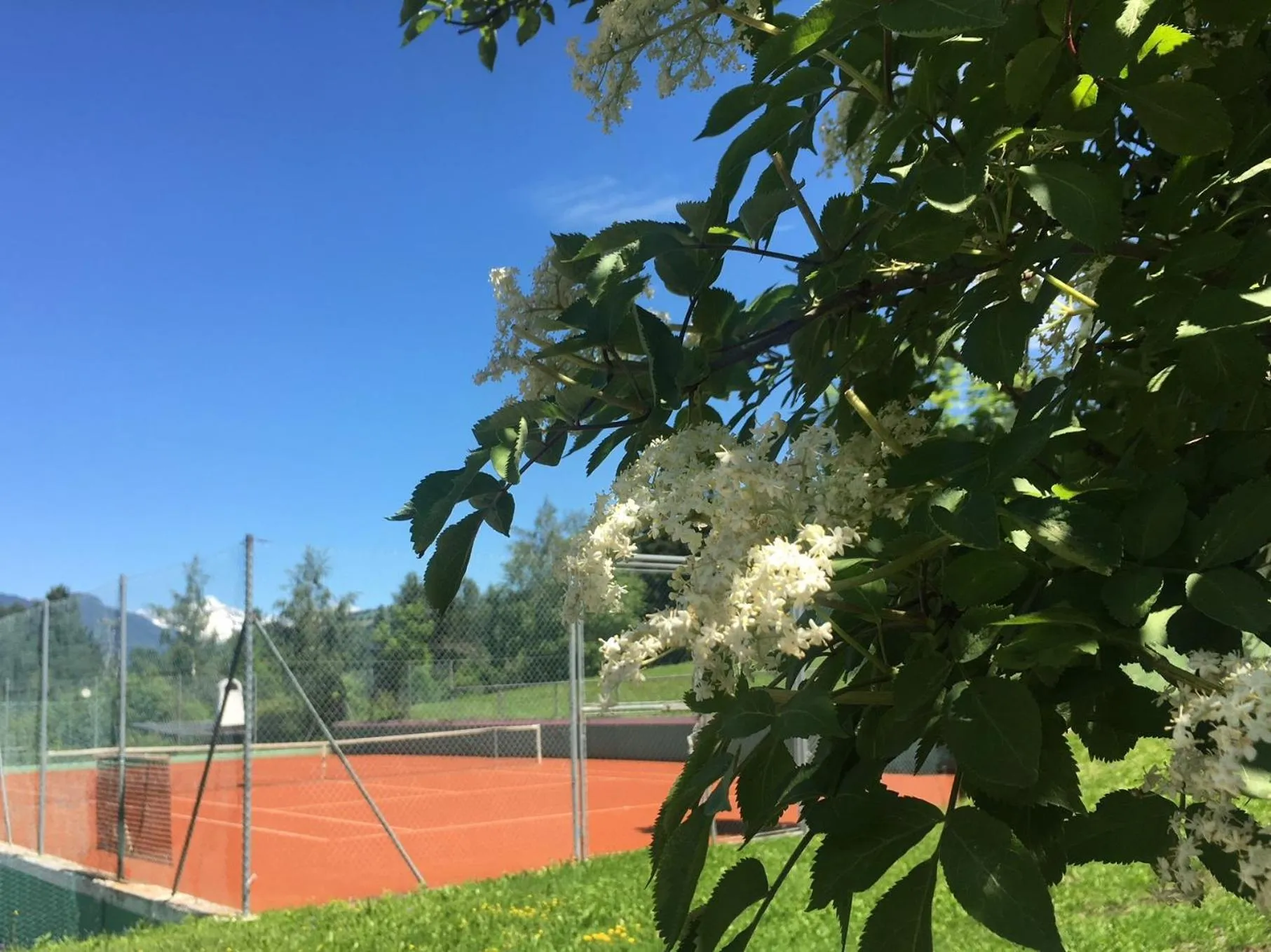 Tennis court in Royal Hotel Hinterhuber