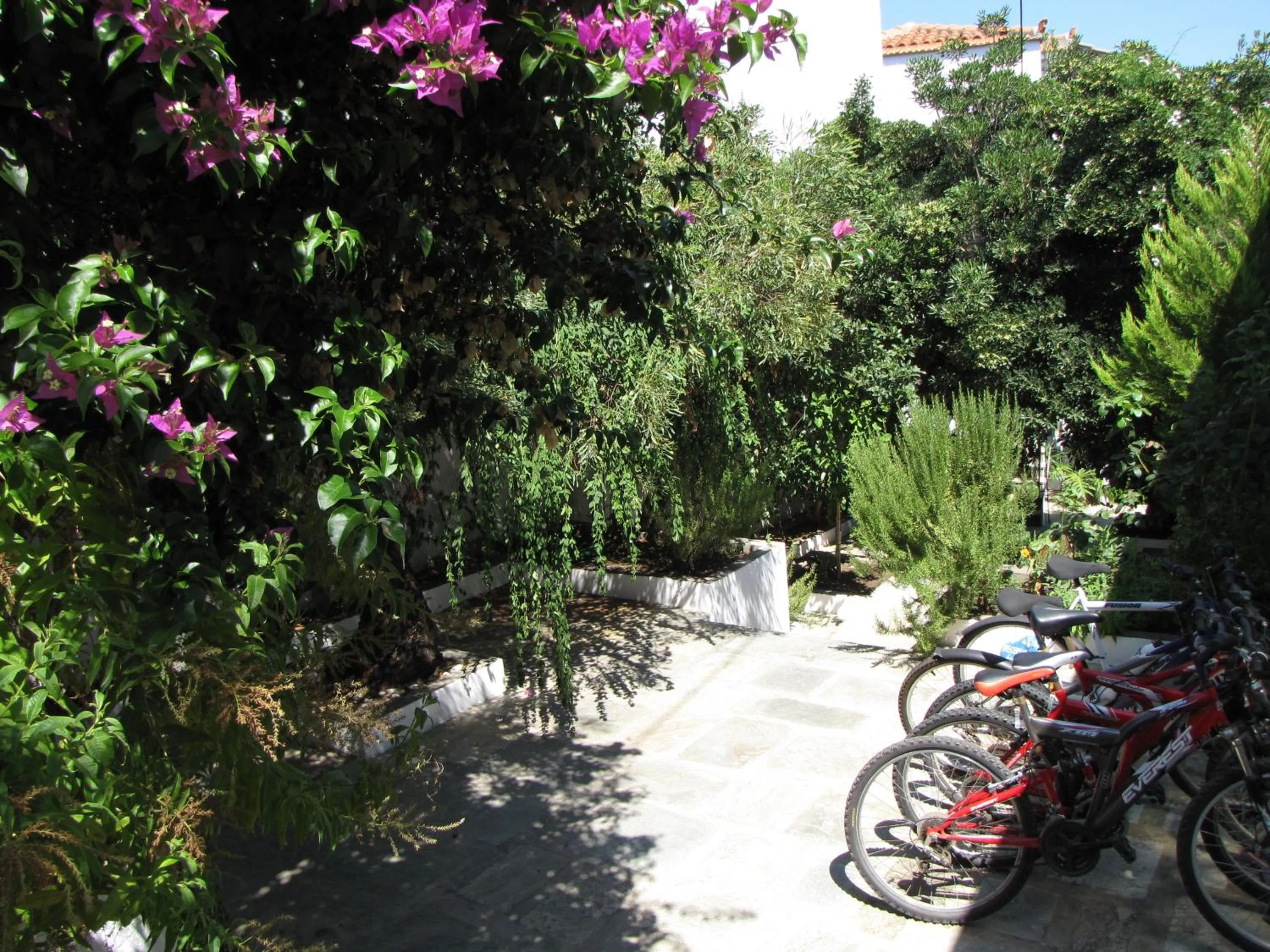Garden in Thea Home Hotel by Booking Kottas