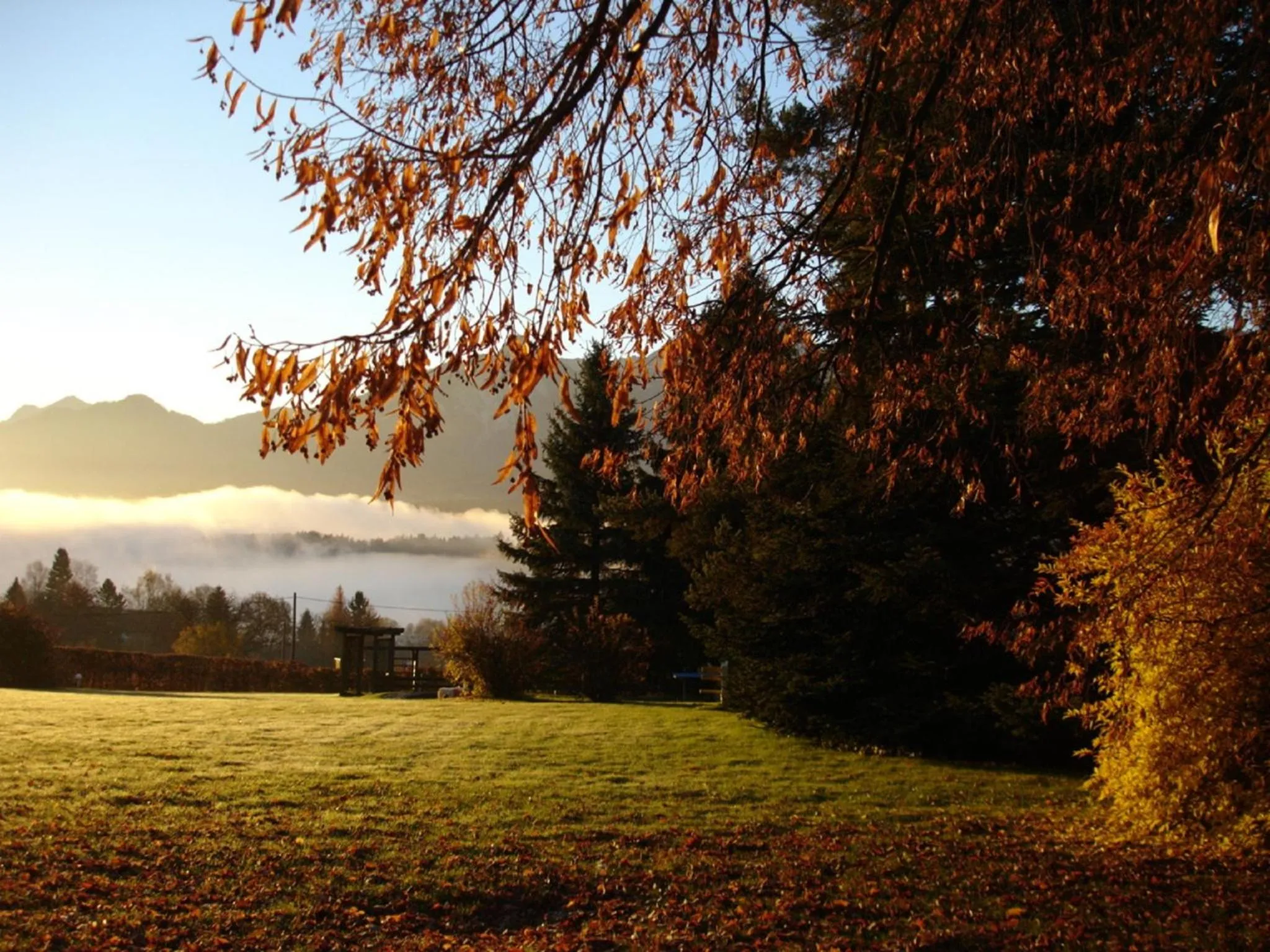 View (from property/room) in Hotel Schönruh