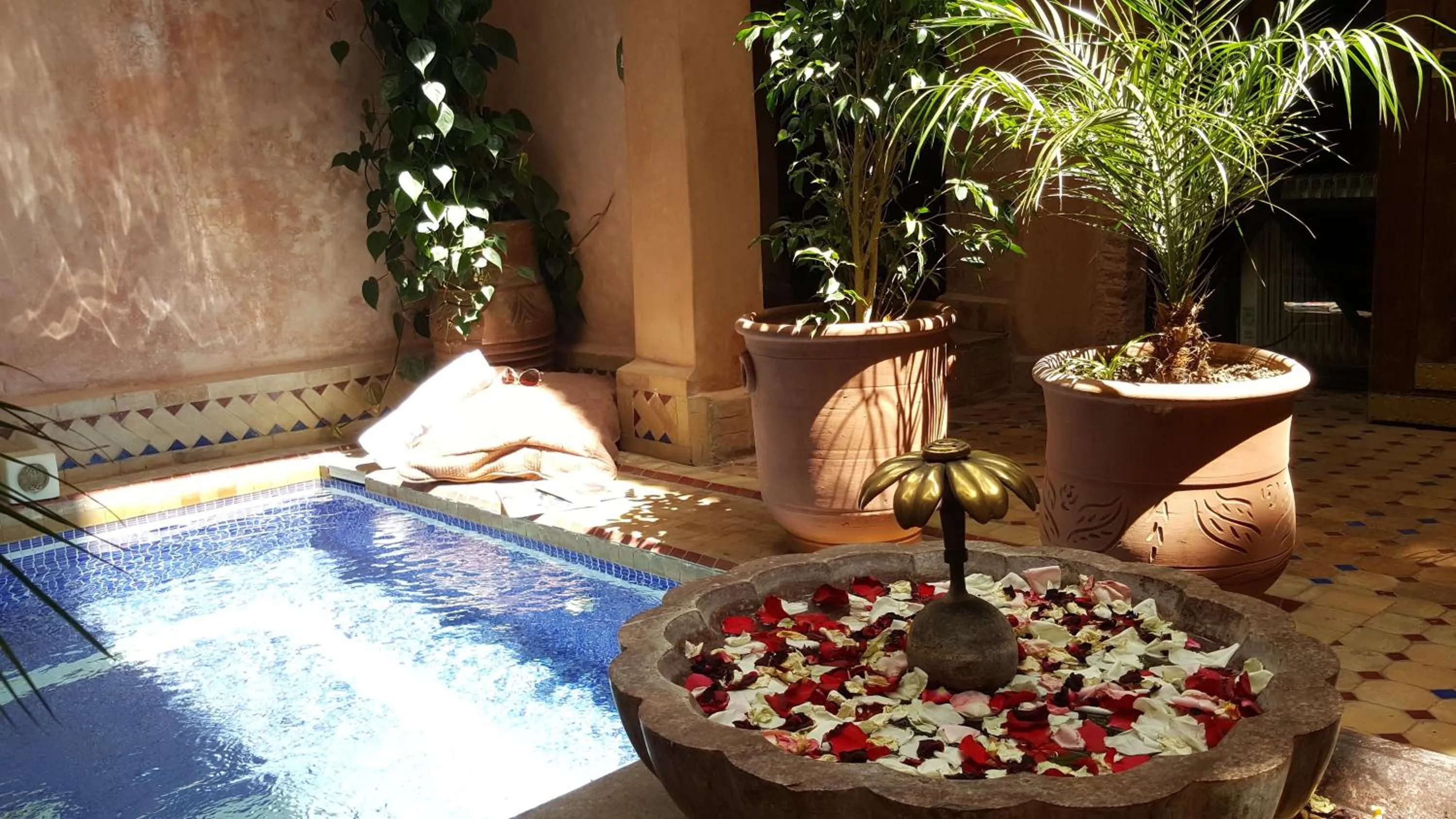 Pool view in Riad Laora By La Siredrah