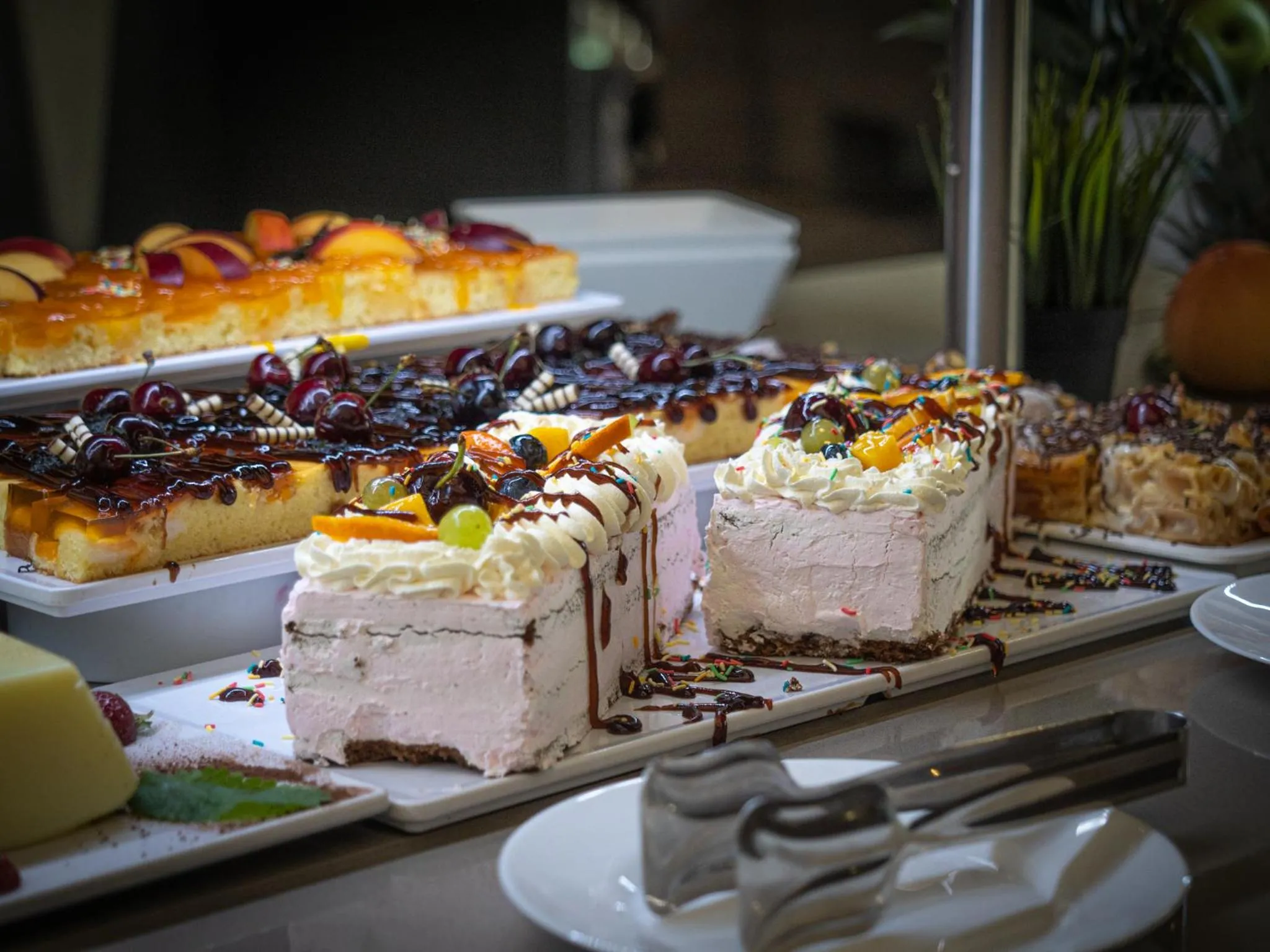 Food and drinks in Aqua Paradise Resort & Aqua Park