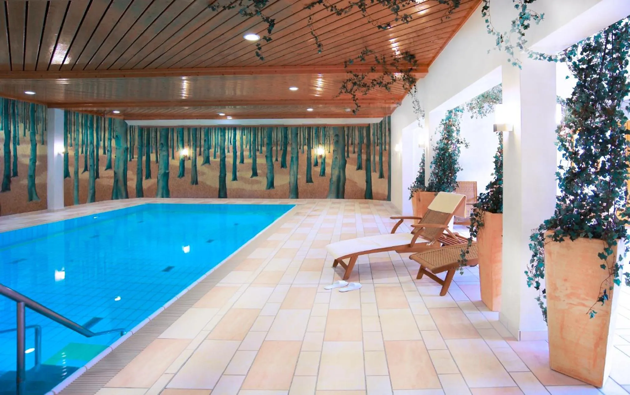 Swimming pool in Hapimag Ferienwohnungen Braunlage
