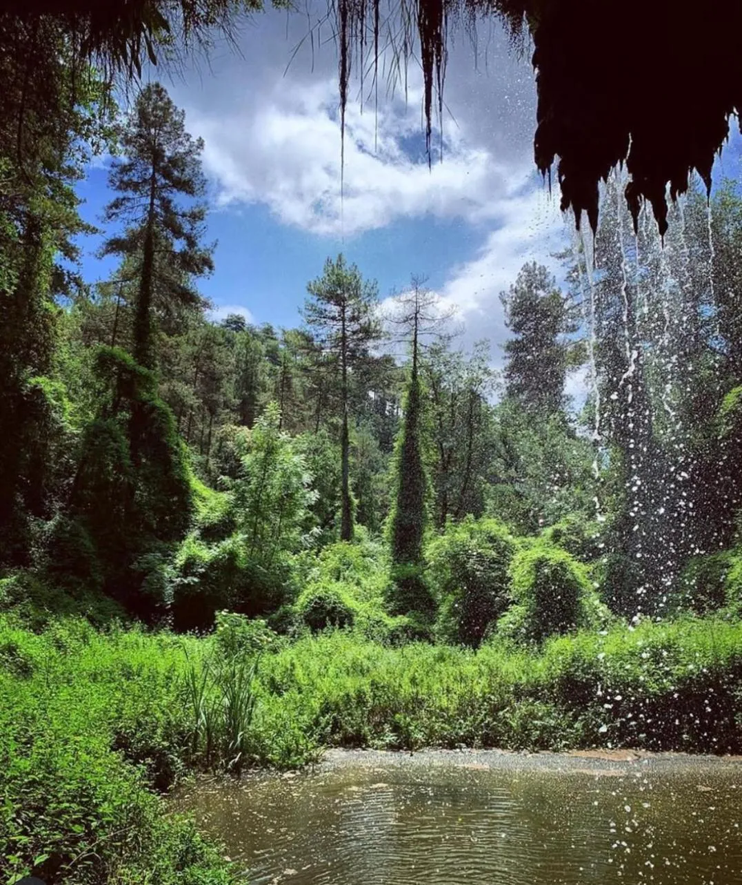 Natural landscape in La Garriga de Castelladral