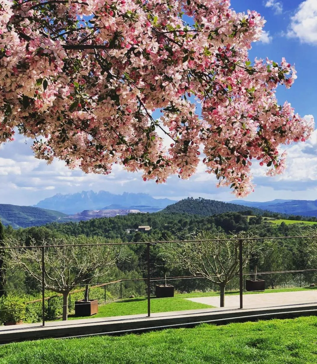 Day in La Garriga de Castelladral