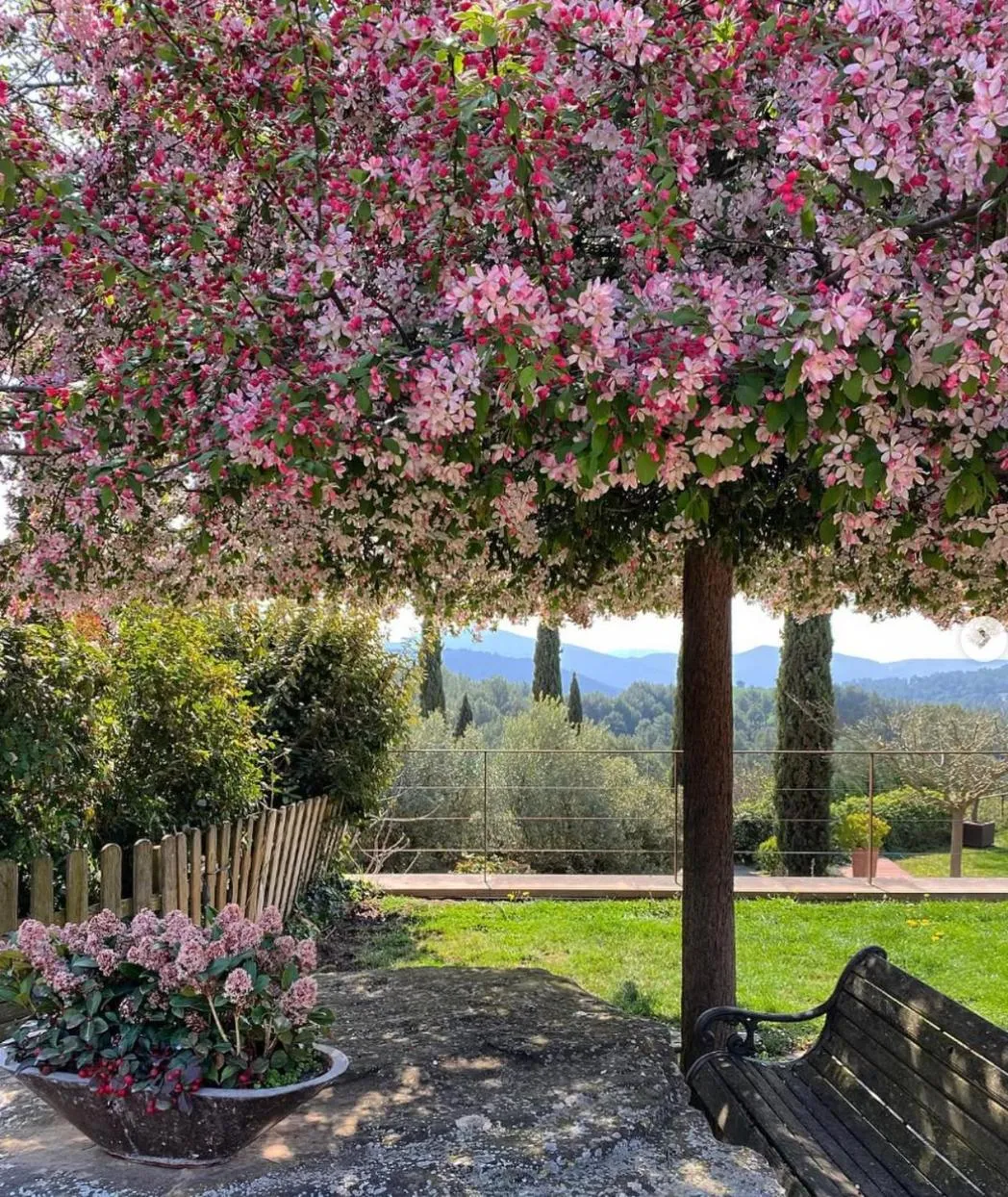 Natural landscape in La Garriga de Castelladral