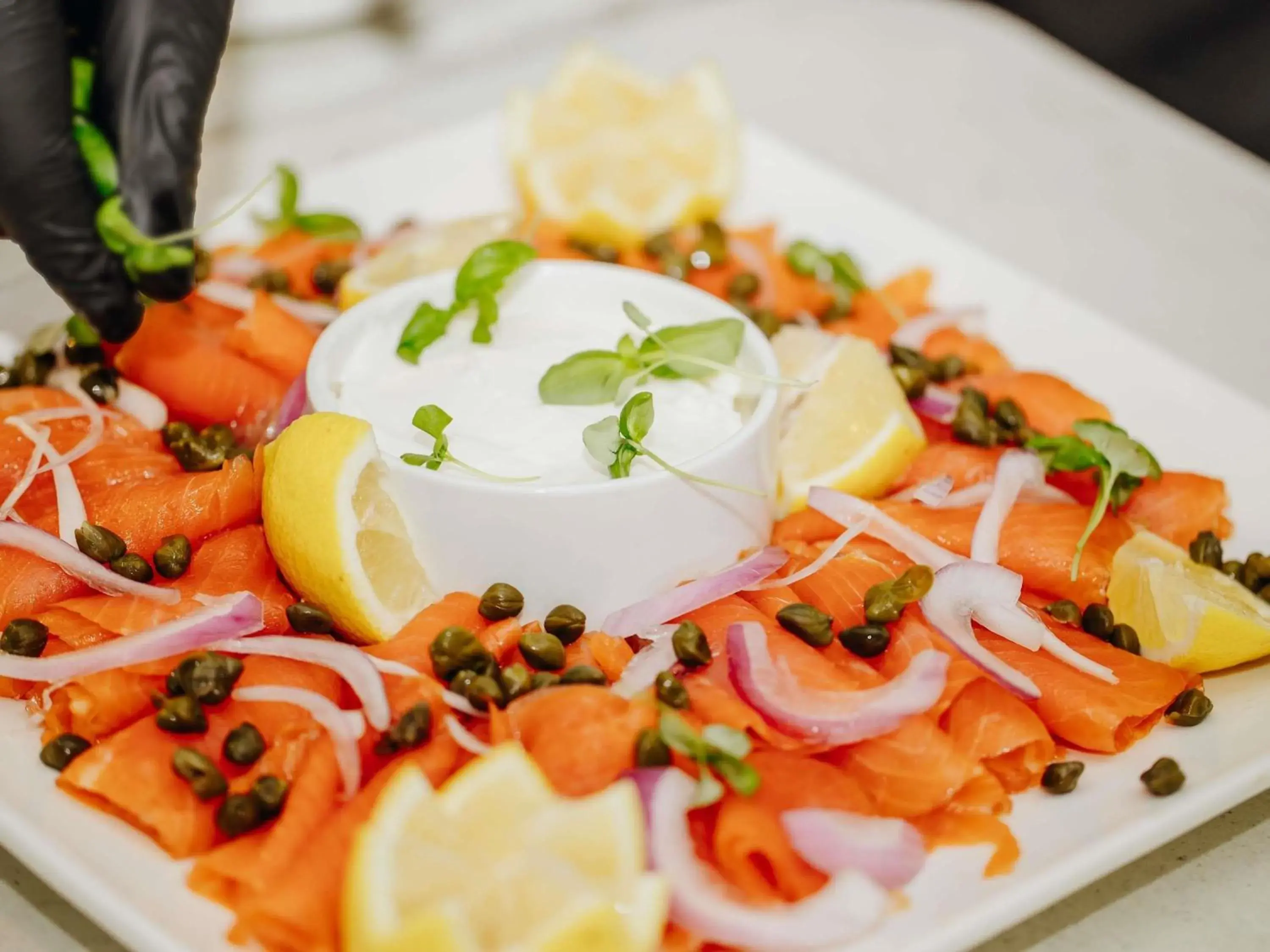 Restaurant/places to eat in Fairmont The Queen Elizabeth Restaurant/places to eat in Fairmont The Queen Elizabeth