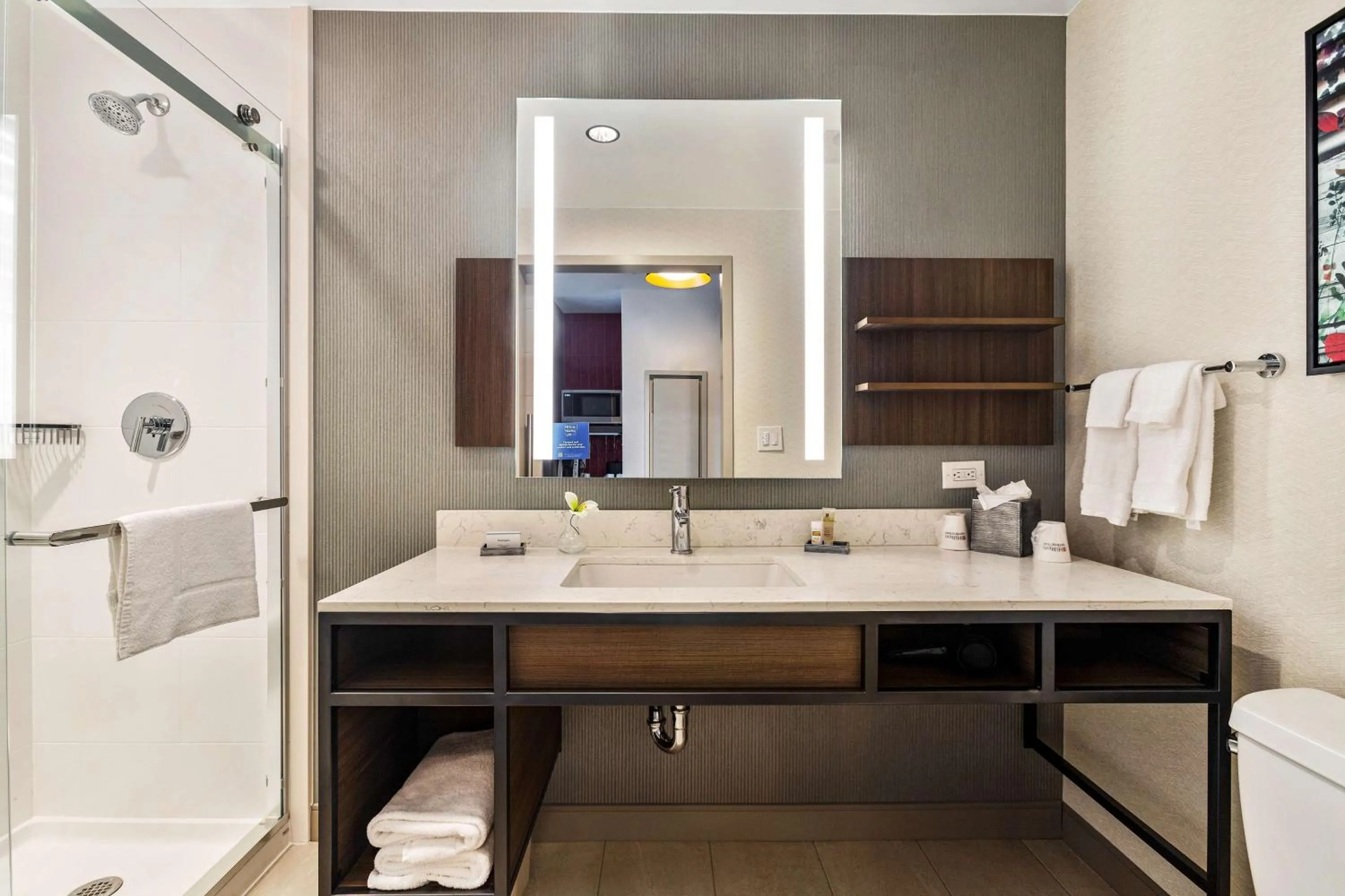 Bathroom in Hilton Garden Inn New Orleans French Quarter/CBD