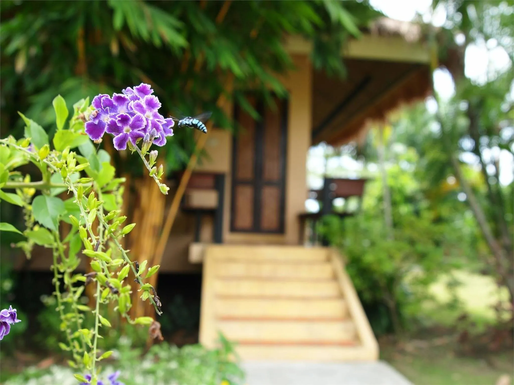 Garden view in IngNatee Resort