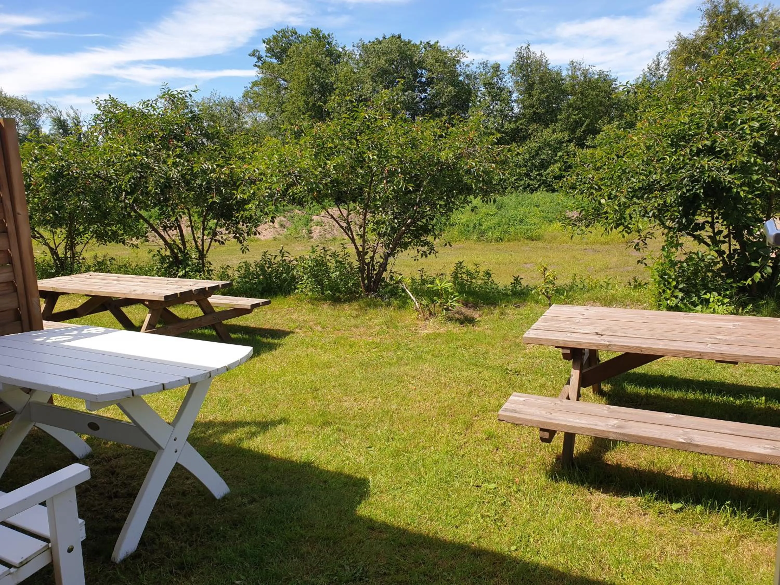 Garden in Mellbystrand Vandrarhem